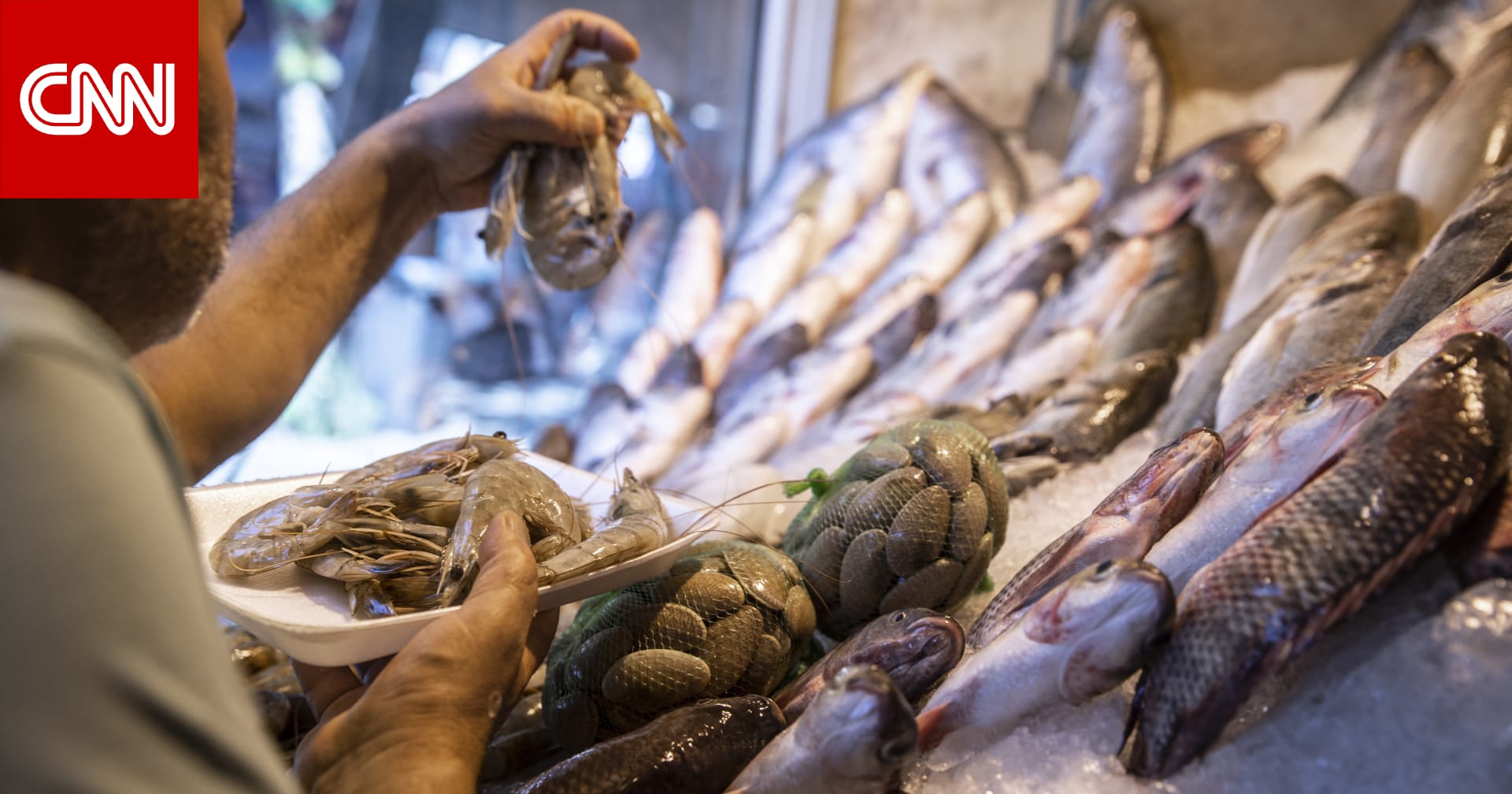 مصر.. ارتفاع أسعار الأسماك يثير تساؤلات حول "مكاسب" التجار و"فاعلية" الرقابة