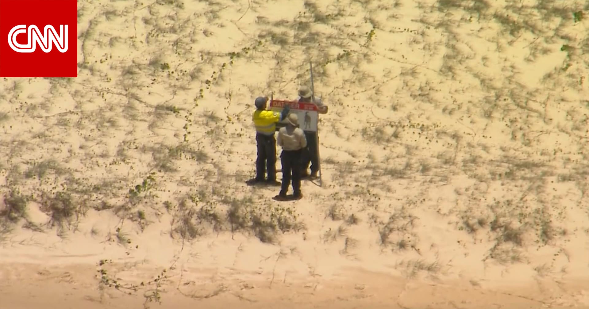 العثور على جثة فتاة محاطة بكلاب برية على شاطىء سياحي في أستراليا