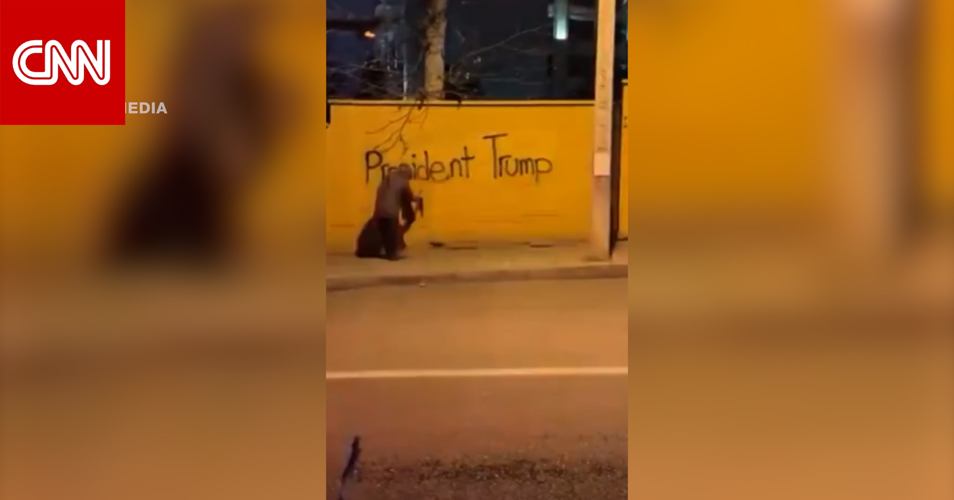 فيديو يظهر سيدة إيرانية توجه رسالة استغاثة لترامب.. ماذا قالت؟