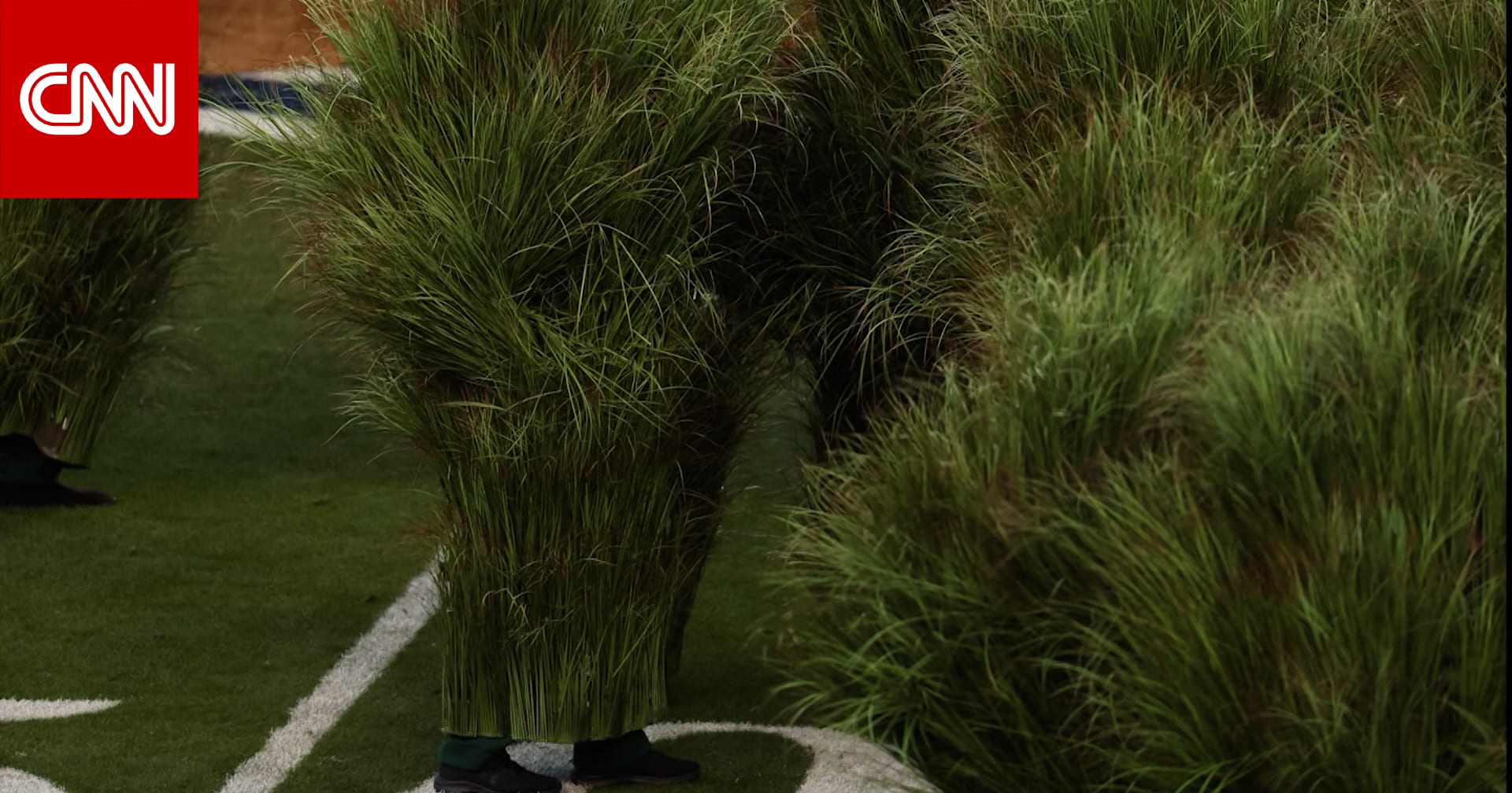 كواليس طريفة.. كيف يشعر المرء عندما يتظاهر بأنه "شجيرة" في عرض "سوبر بول"؟