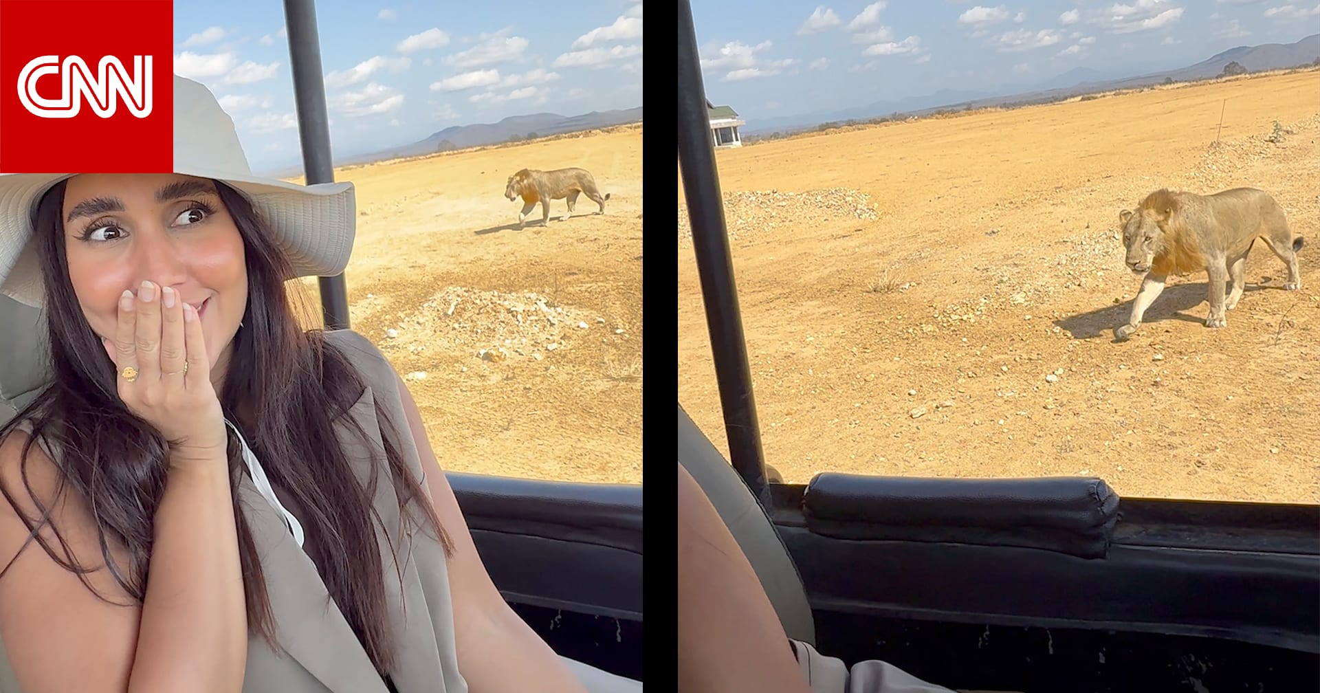 الصوت ممنوع.. شاهد أسدًا يقترب من سيارة سفاري في قلب الطبيعة بإفريقيا