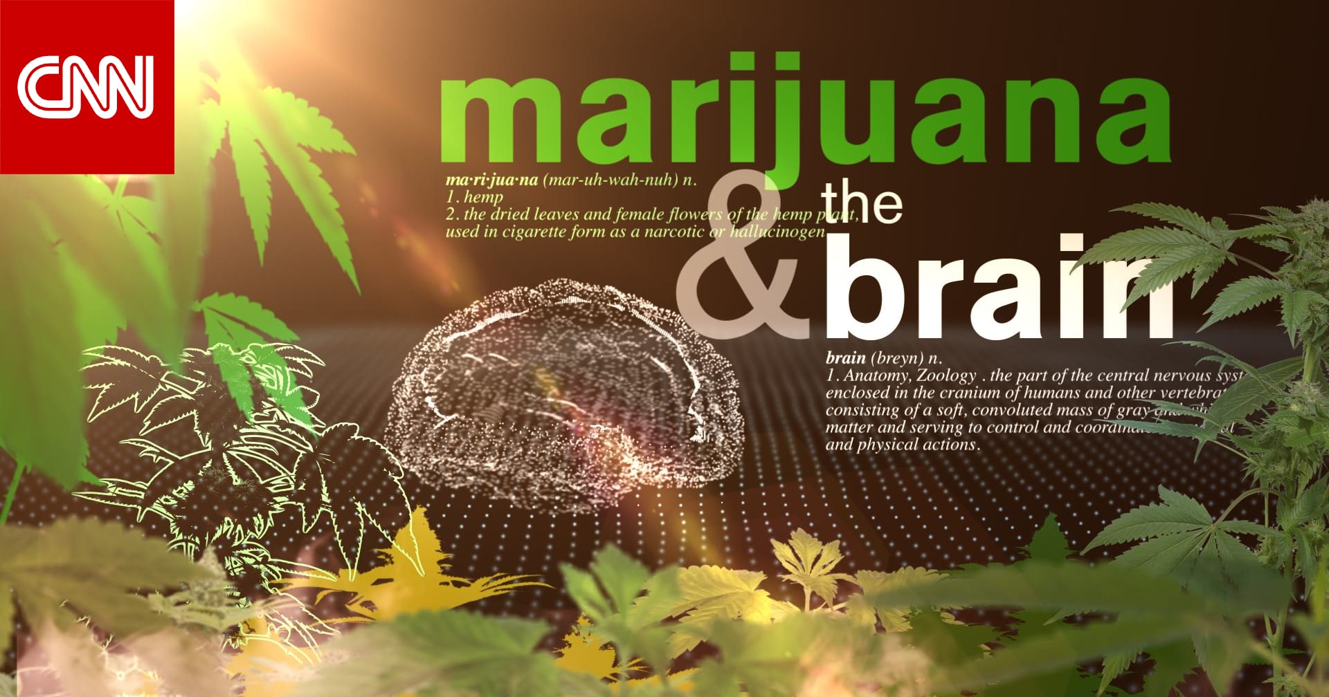 دراسة: الماريجوانا لا تساعد على تخفيف القلق أو الحالات النفسية الأخرى