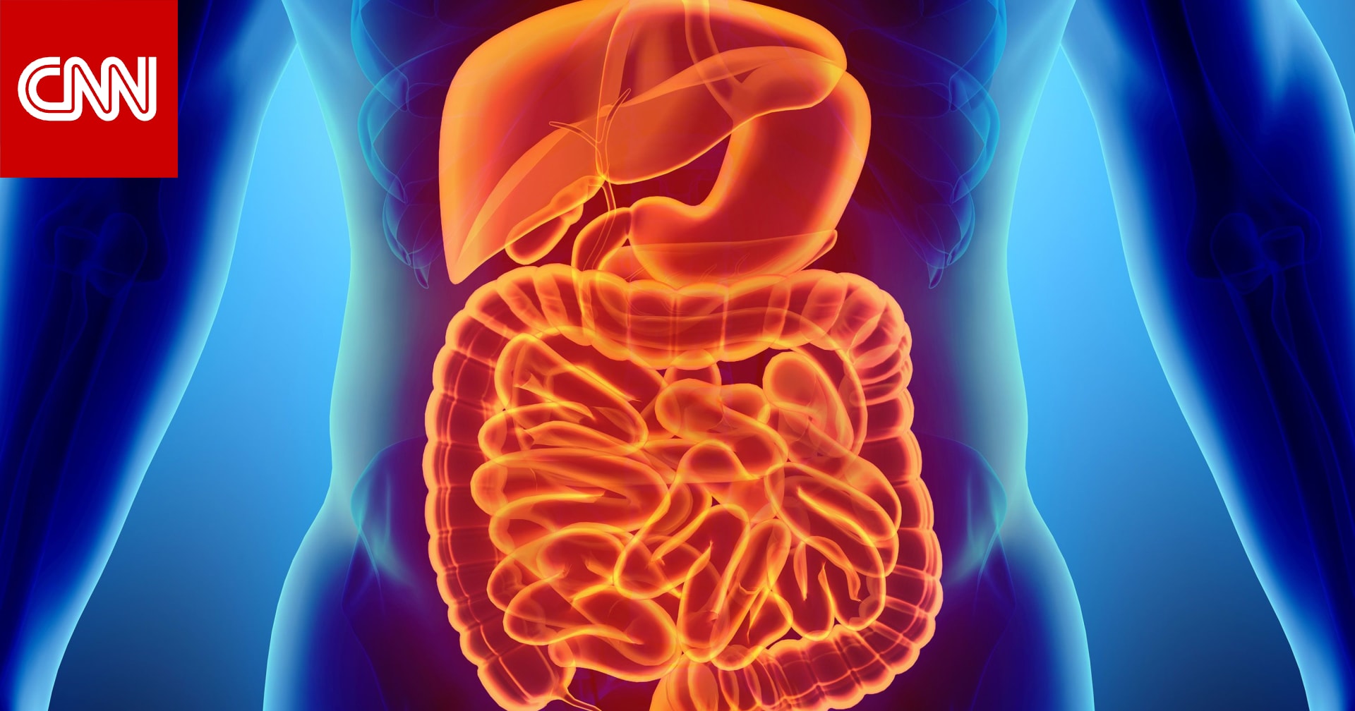 بكتيريا الأمعاء..أطعمة للحفاظ على صحة الجهاز الهضمي 