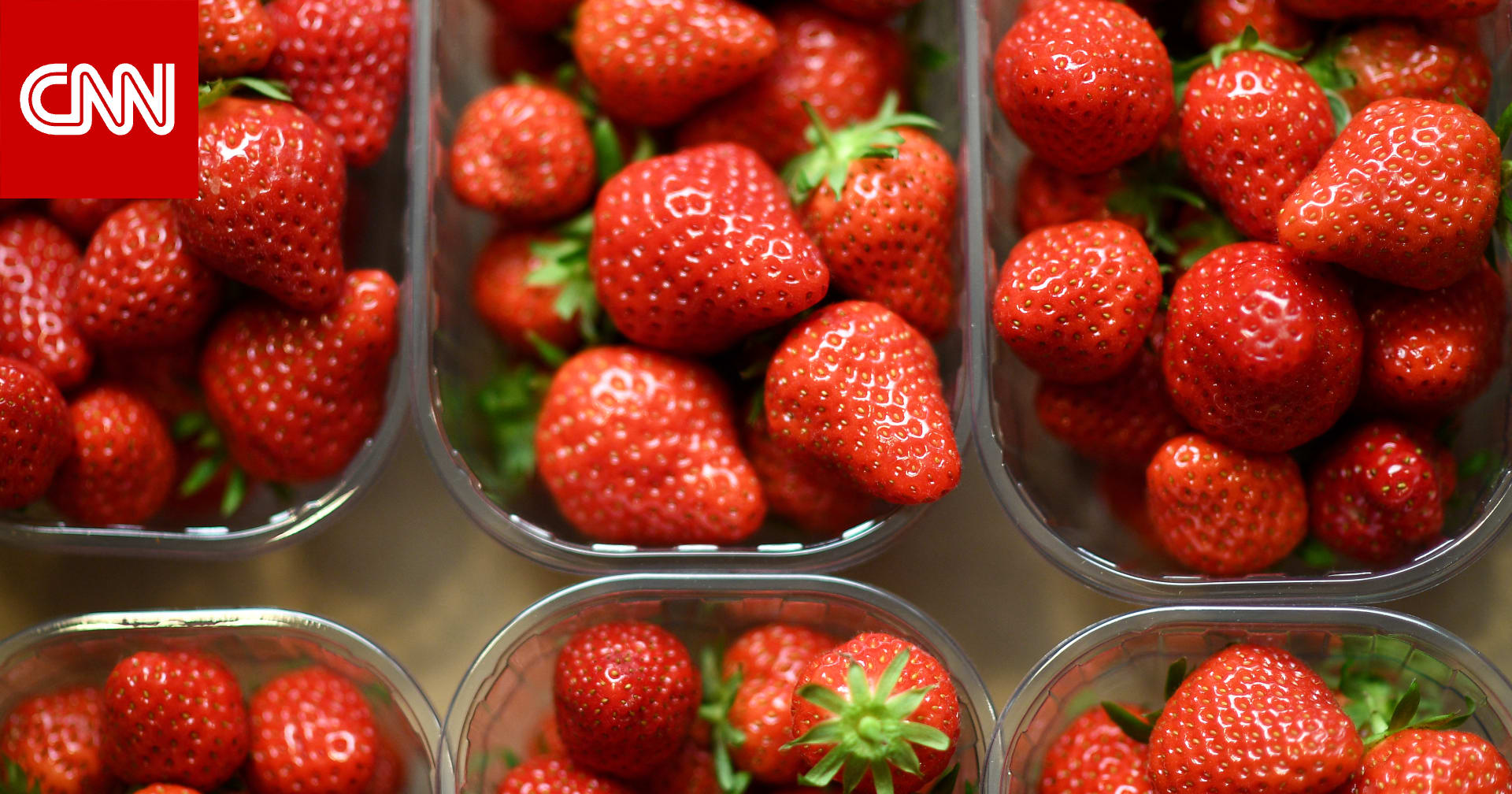 مصر..الحكومة توضح حقيقة رفض تصدير شحنات فراولة للخارج بزعم احتوائها على "مواد مسرطنة"