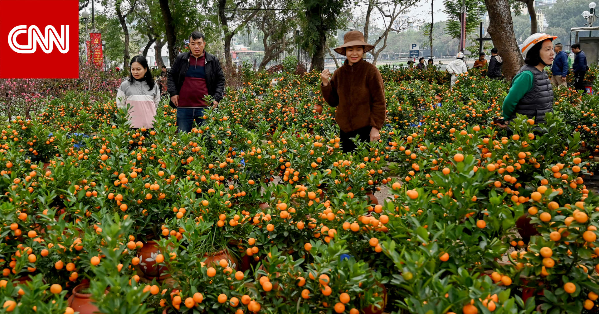 فوائد البرتقال الذهبي..لماذا تُعتبر "الكمكوات" كنزّا للفيتامينات والمعادن؟ 