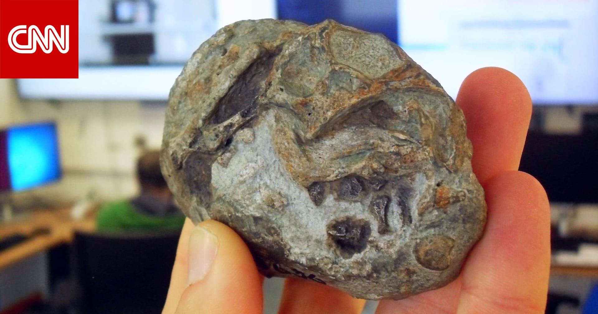 أسلاف الثدييات وضعت البيض.. وأحفورة قديمة تثبت ذلك