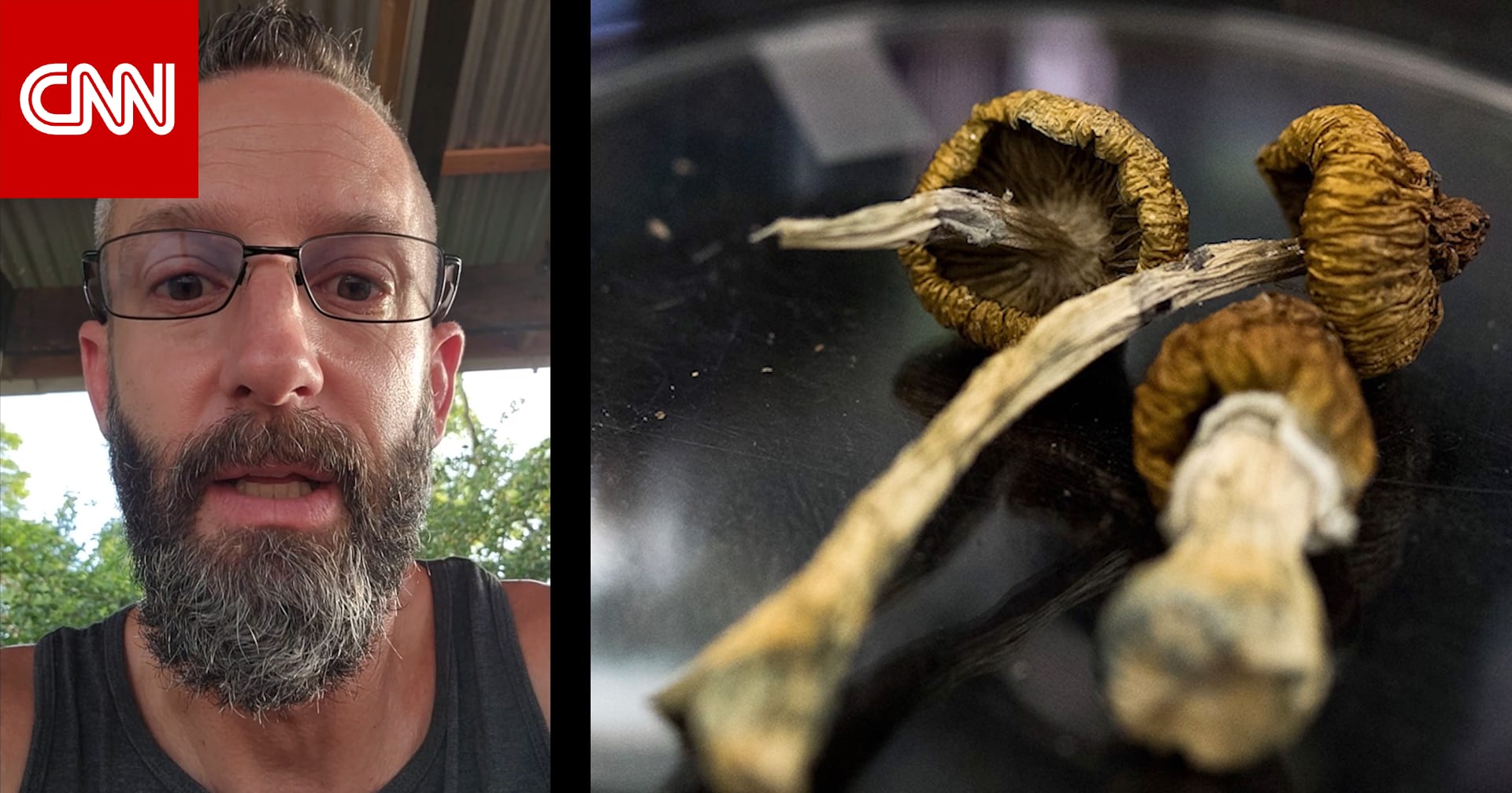 داخل منتجعات الهلوسة.. كيف كانت تجربة العلاج بـ