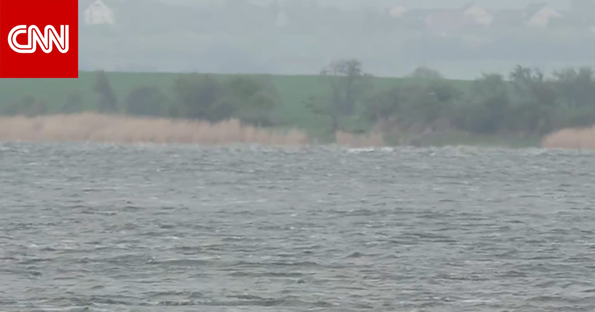 الحوت تيمي يسبح مجددًا بعد أن ظل عالقًا 3 أسابيع في ألمانيا.. لكن هل ضلّ طريقه؟