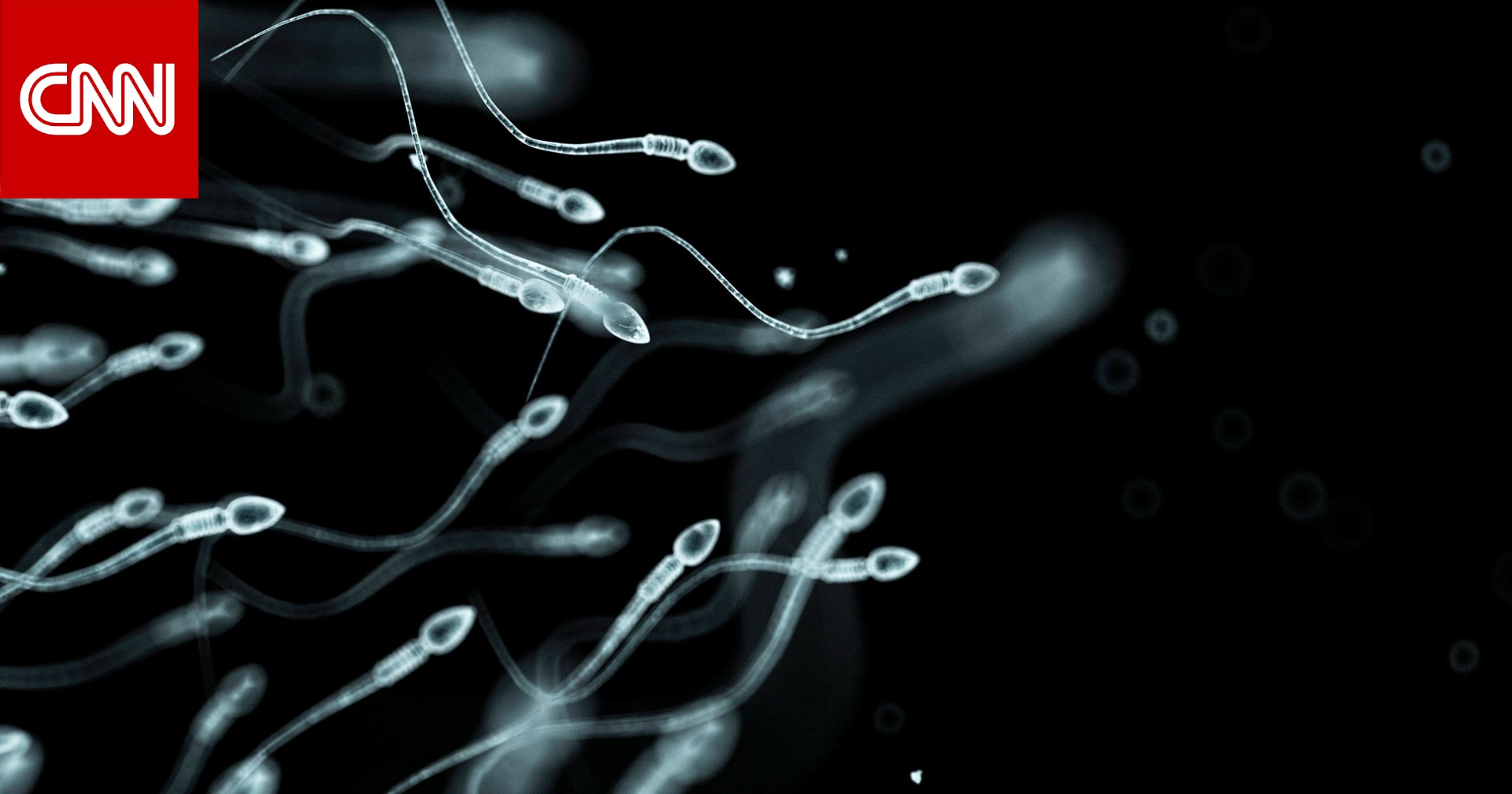 تأثير التوتر على الحيوانات المنوية..هذا ما يجب على الرجال معرفته 