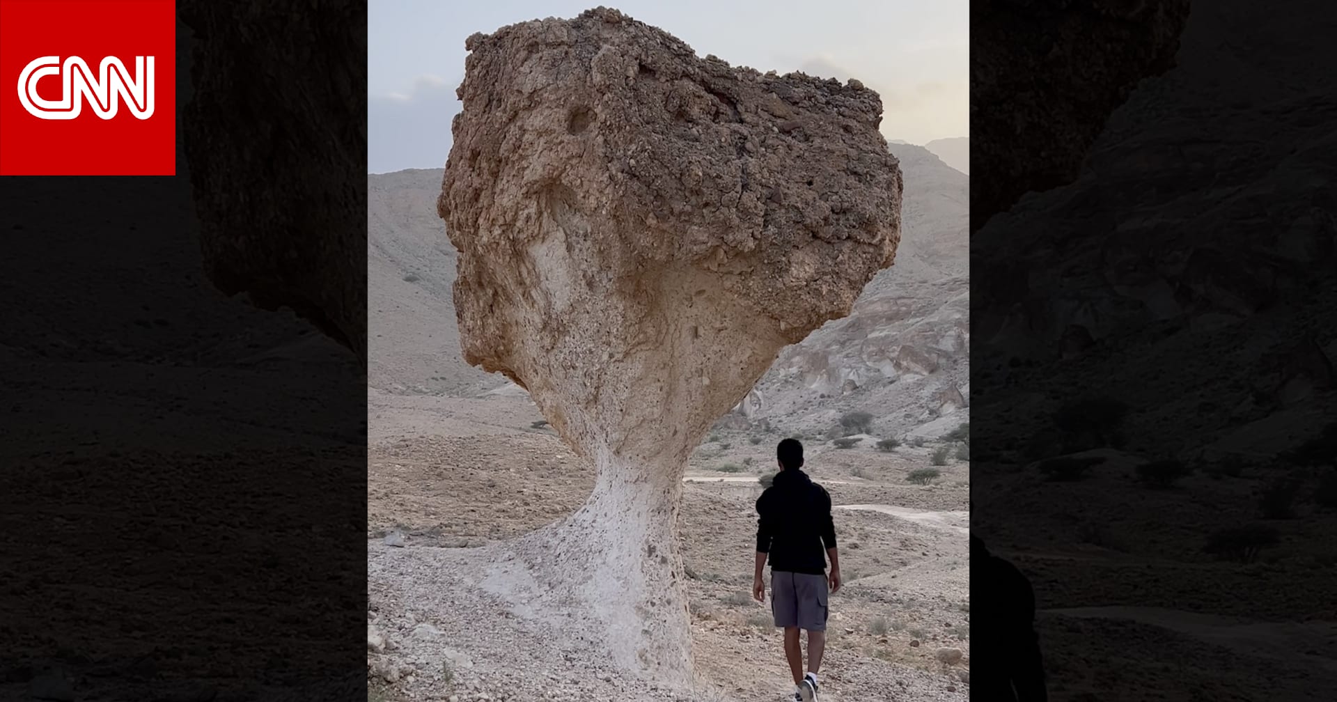 فطريات عملاقة "تنبت" في قلب الصحراء العُمانية.. ما سرّها؟