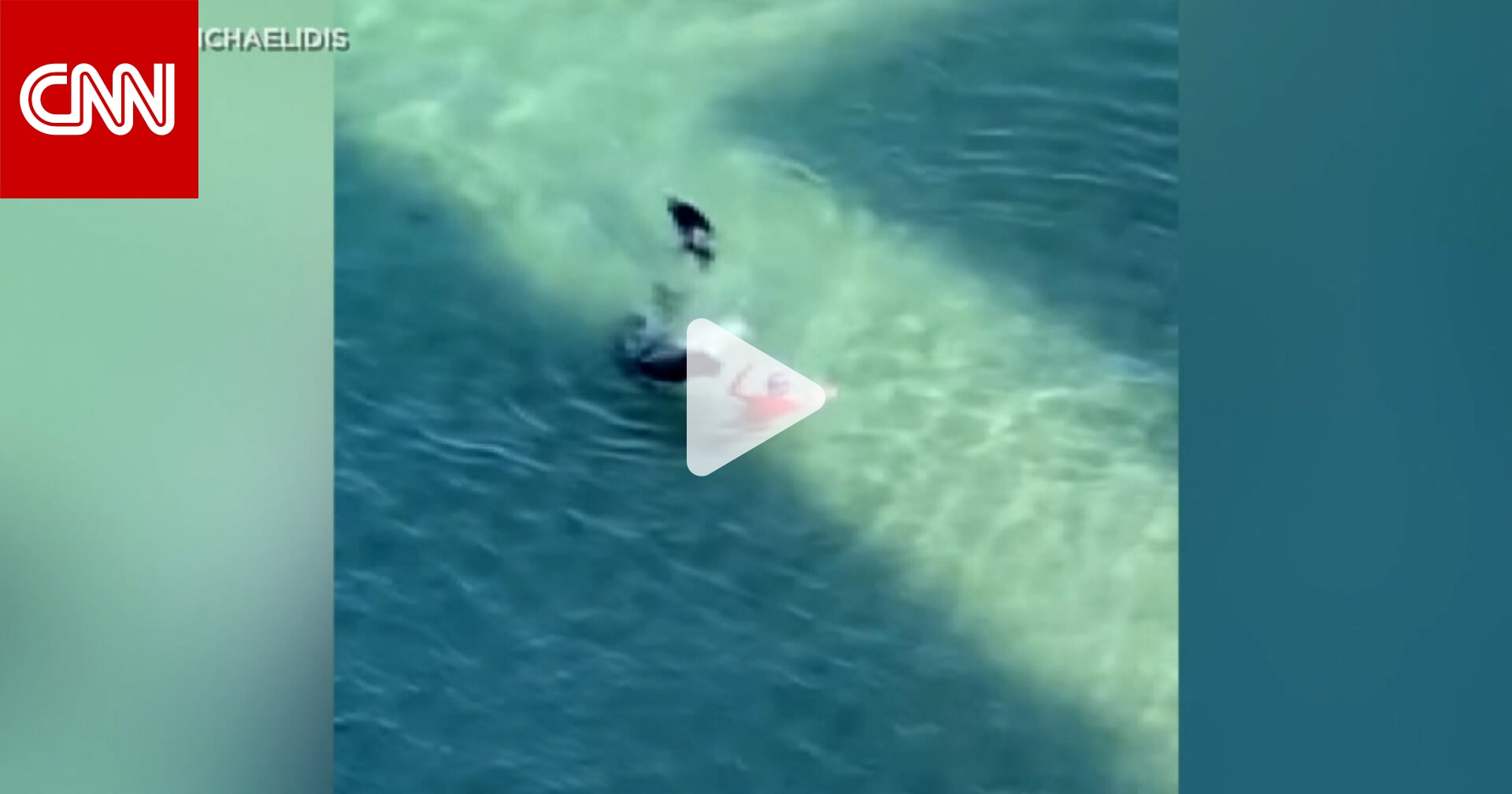 زوجها وثق الحادثة.. شاهد كيف هاجمت فقمة سيدة في عرض البحر