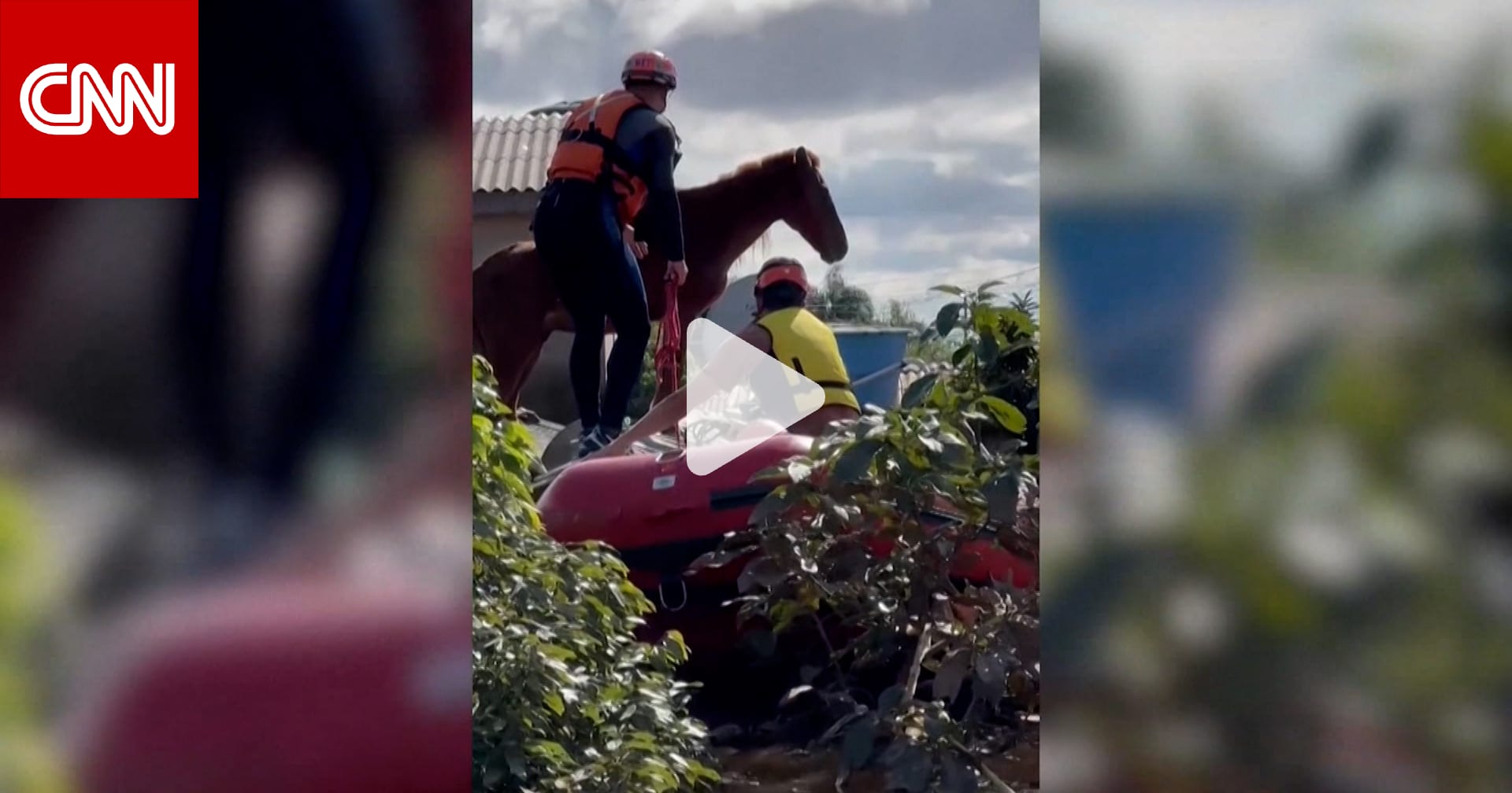 ظل عالقًا لـ4 أيام.. شاهد لحظة إنقاذ حصان حاصرته مياه الفيضانات في البرازيل