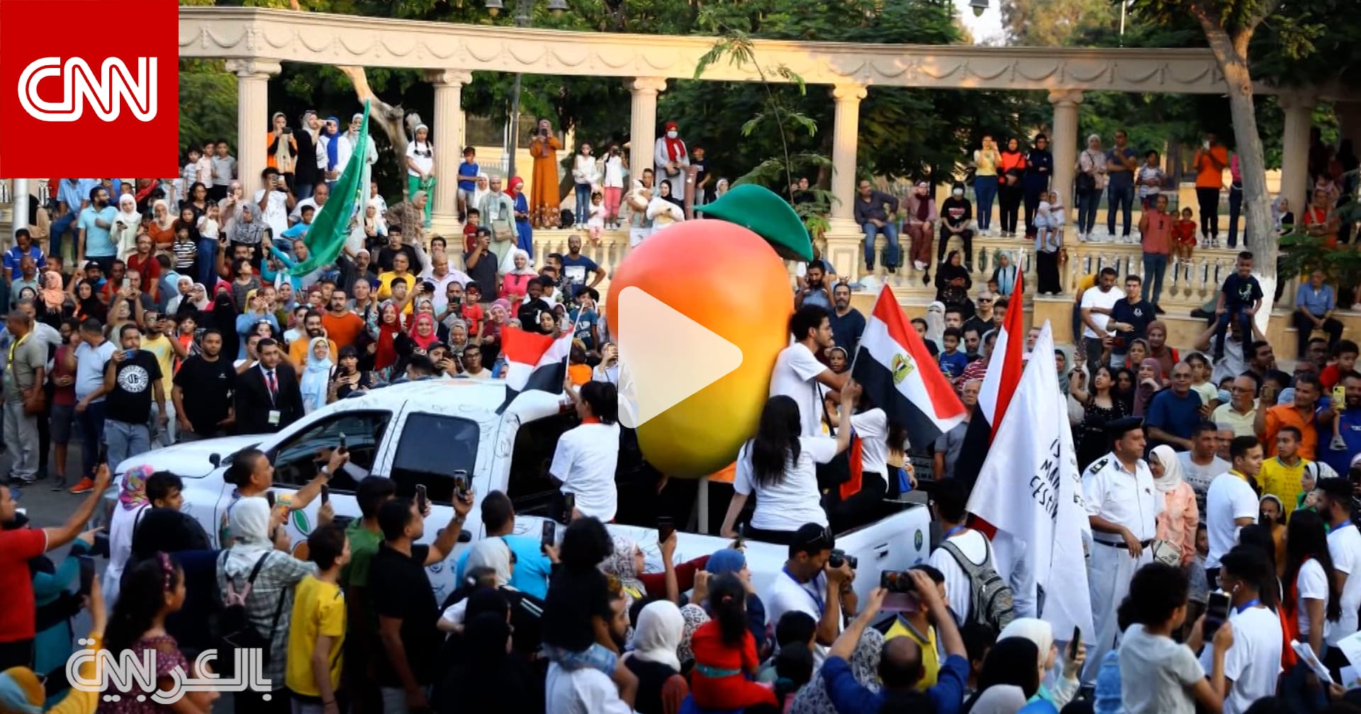مصر.. لمحة سريعة عن الإسماعيلية ومهرجان المانغو "الأكثر ثراء" 