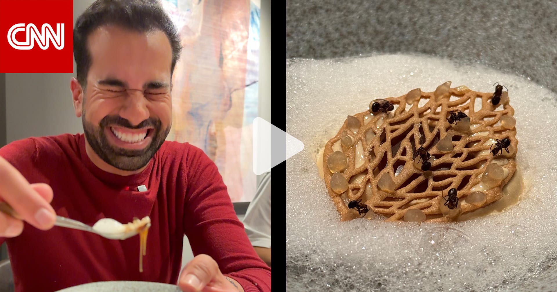 بوظة بالنمل.. رحّالة يخوض أغرب تجربة طعام في النرويج 