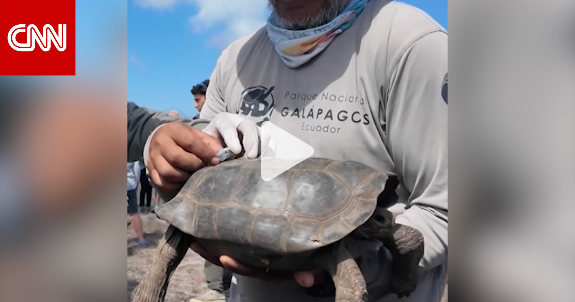 عودة السلاحف العملاقة إلى جزر غالاباغوس بعد ما يقارب 200 عام 