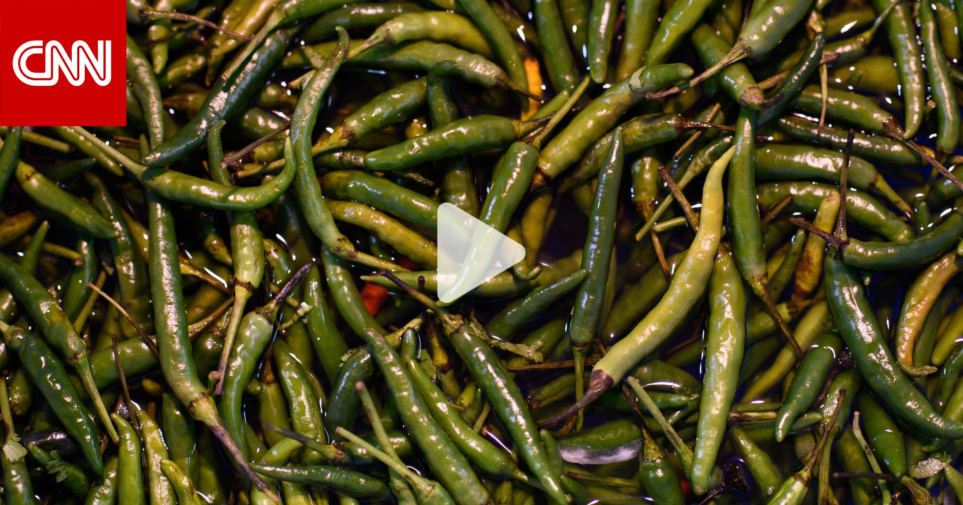 الفلفل الحار..ما أهم فوائده للقلب والدماغ بعيدًا عن طعمه الحارق؟ 