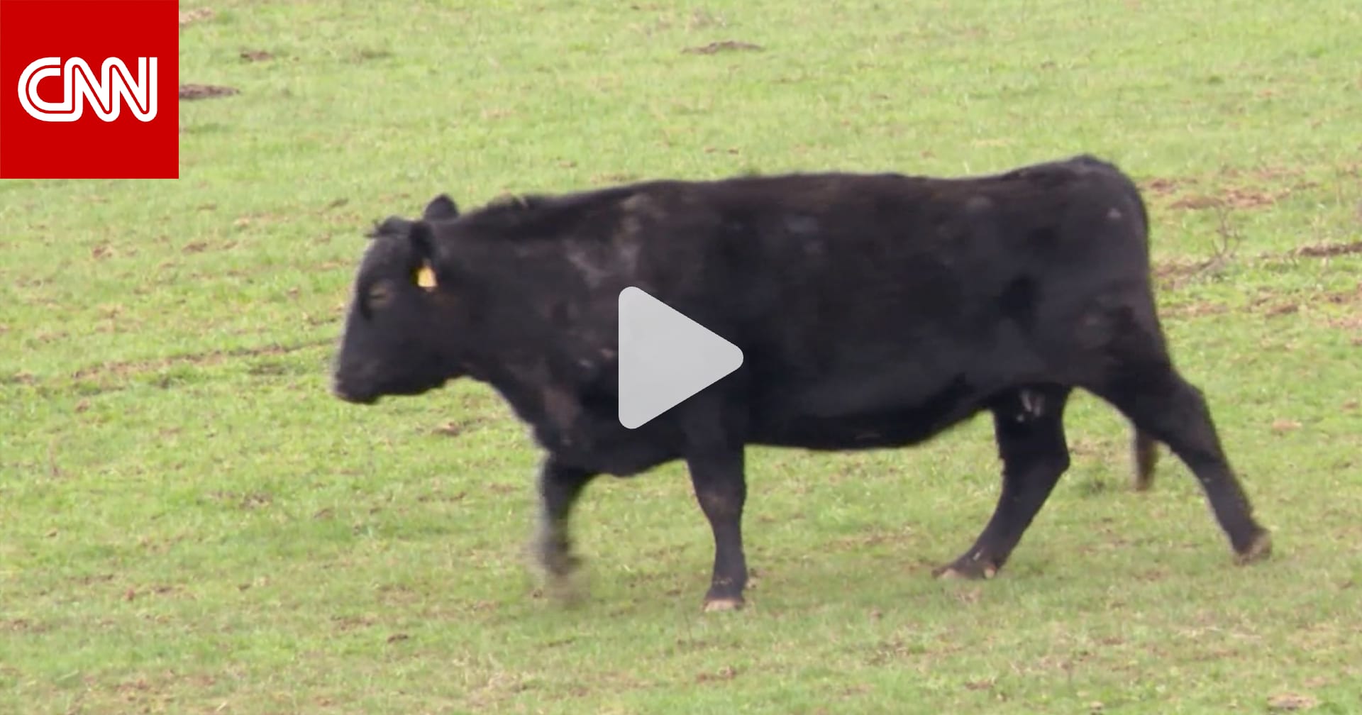 عائلة مزارعين ترفض عرضاً بقيمة 26 مليون دولار من شركة ذكاء اصطناعي مقابل أرضها 