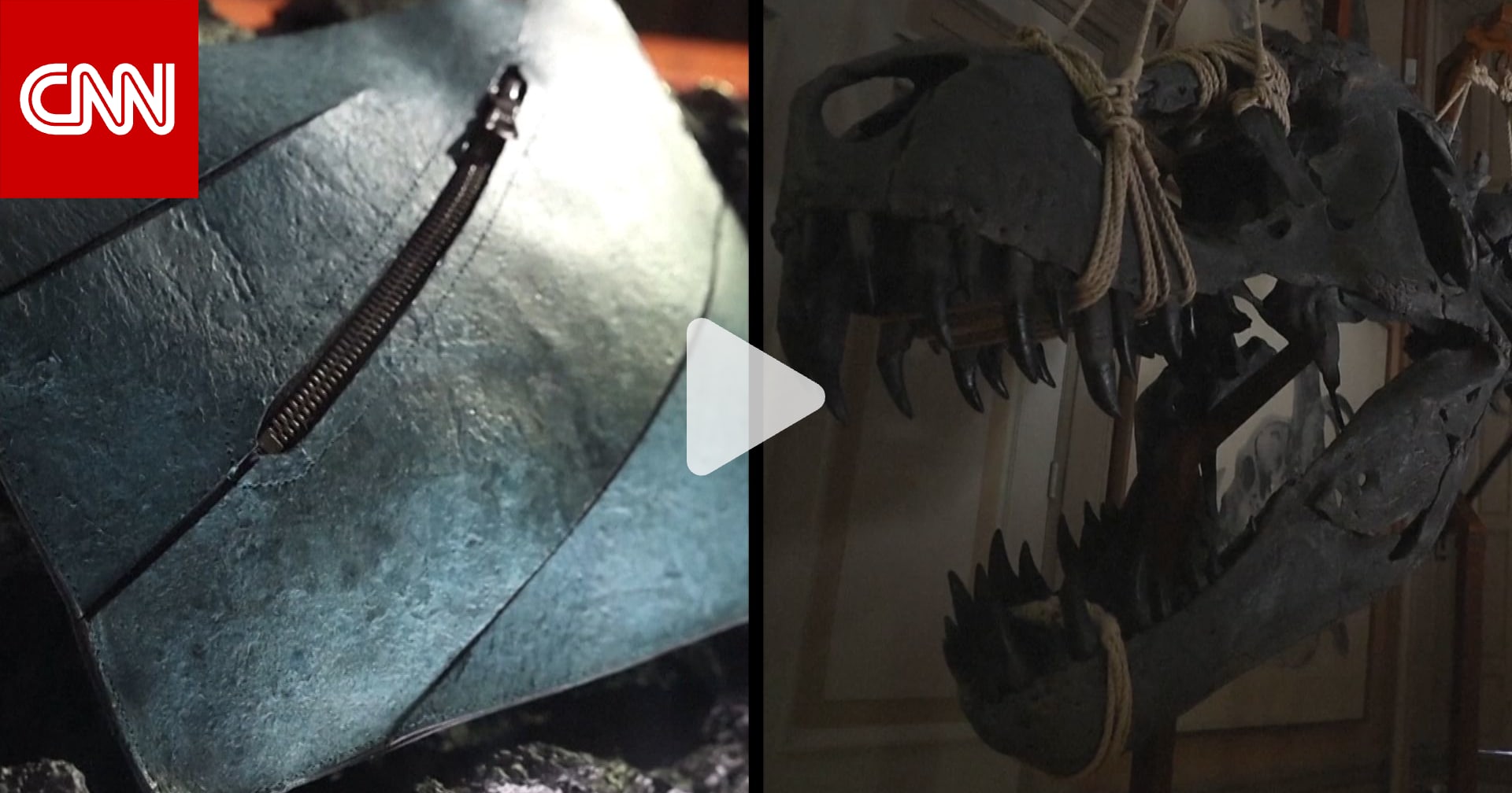 الكشف عن حقيبة يد فاخرة مصنوعة من "جلد تي ريكس" 