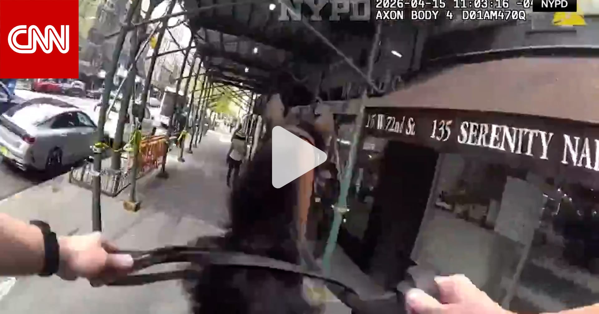 شرطي على ظهر حصان يباغت لصًا مشتبهًا به ويلاحقه بين أرصفة نيويورك 