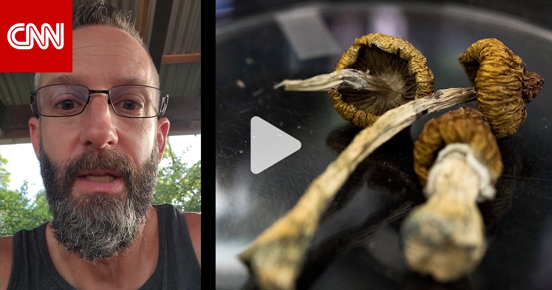 داخل منتجعات الهلوسة.. كيف كانت تجربة العلاج بـ"الفطر السحري"؟ 