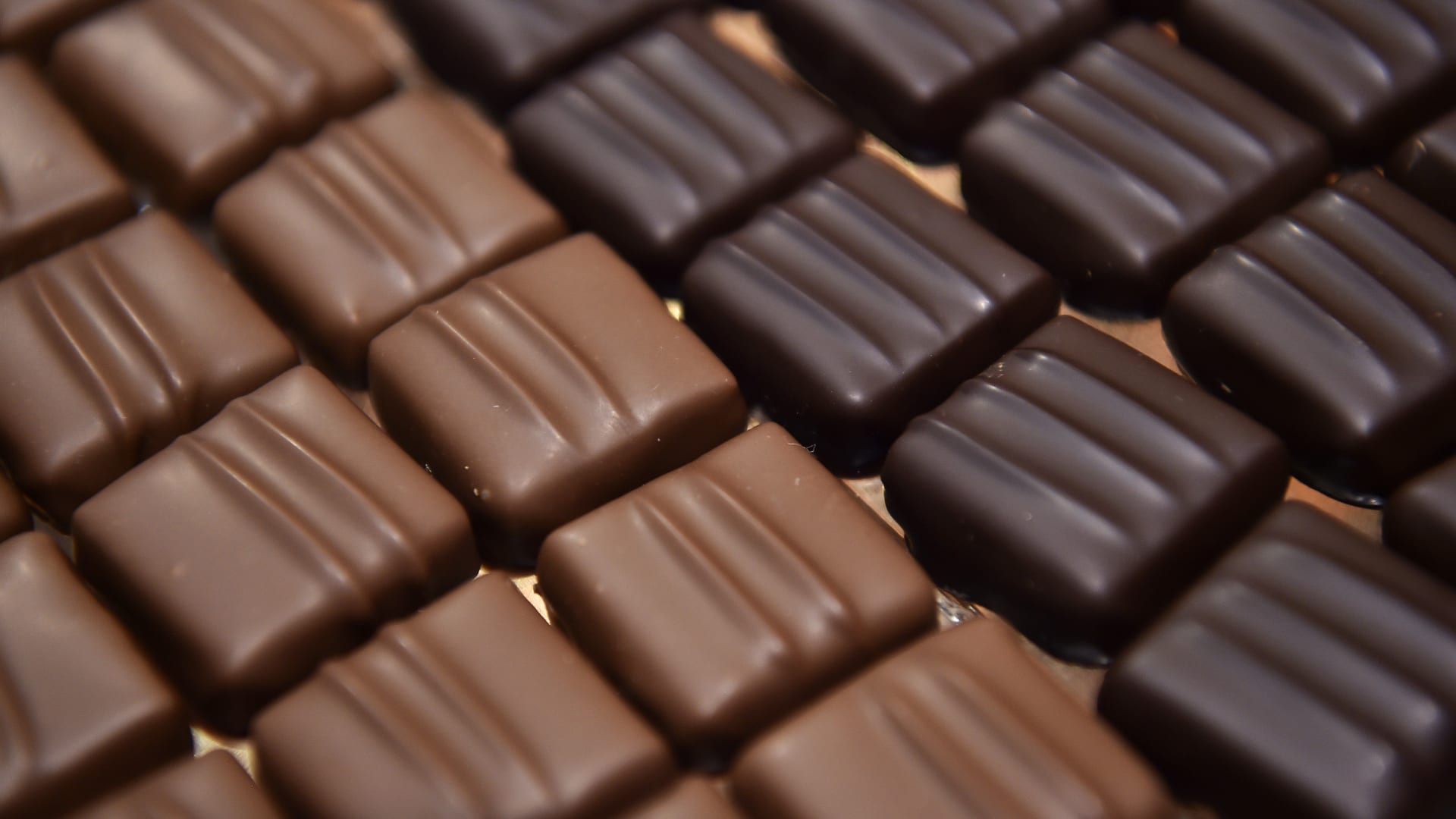 لمحبي الشوكولاتة.. هذه هي الفوائد الصحية لتناولها