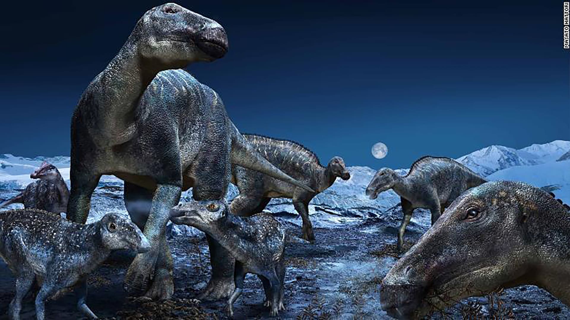 اكتشاف أصغر جمجمة لديناصور.. ماذا كان طعامه؟