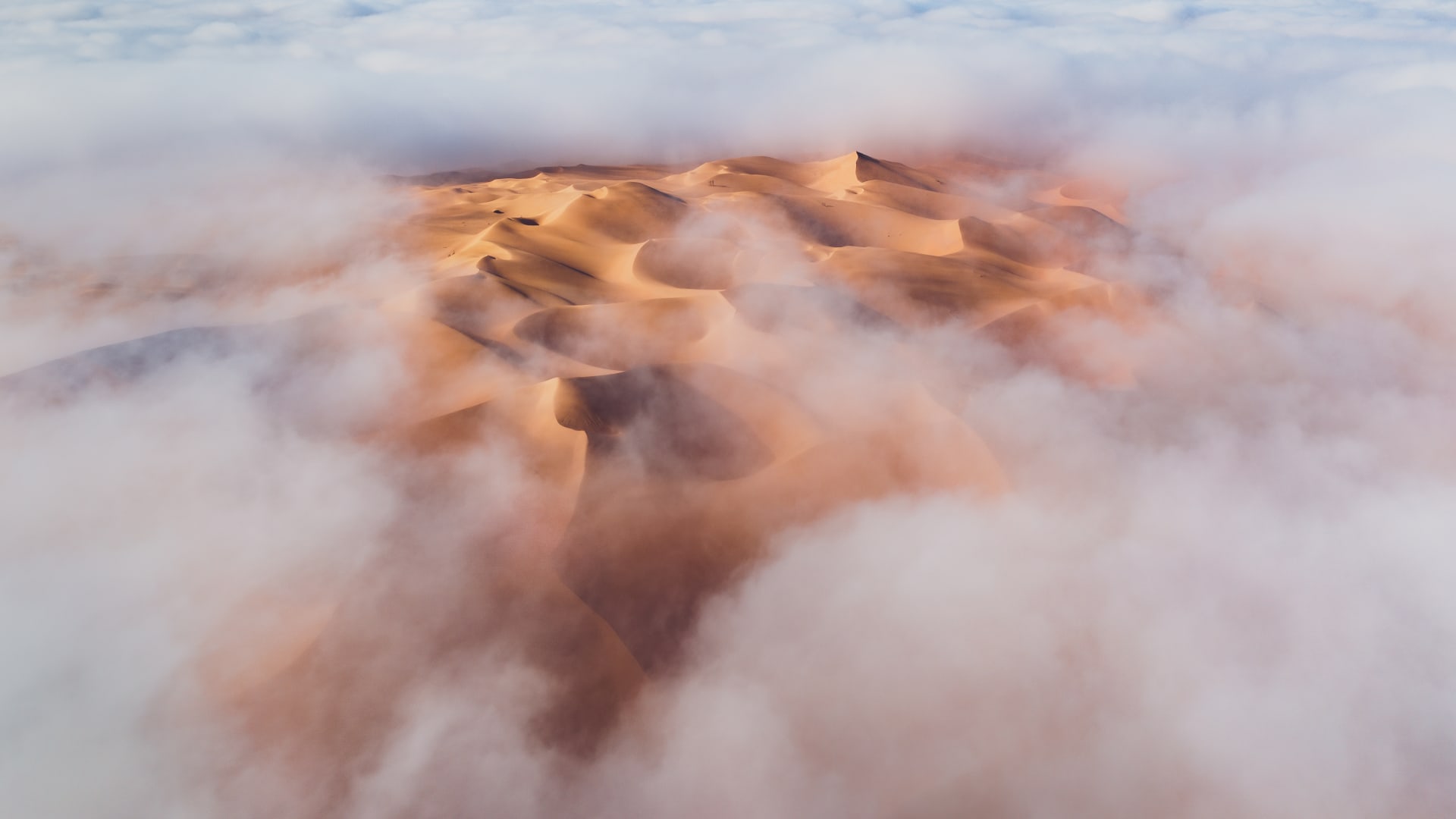 صحراء ليوا في أوبوظبي - الإمارات العربية المتحدة