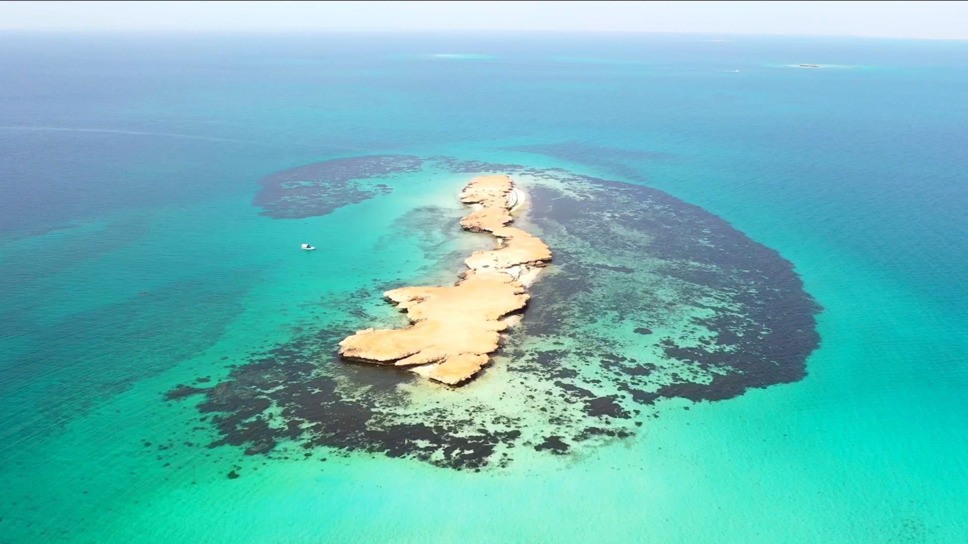 جولة بصرية تثير الاهتمام وجزر فرسان تلقب بـ"مالديف السعودية" لهذا السب