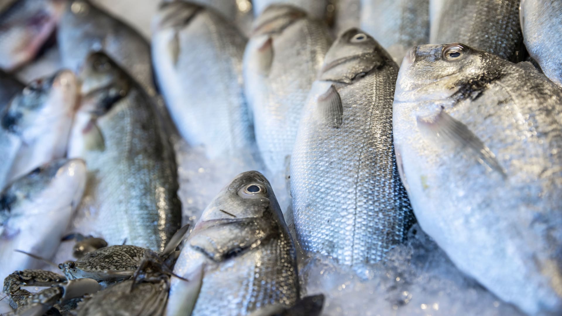 تقلل من خطر العديد من الأمراض.. إليك فوائد تناول السمك