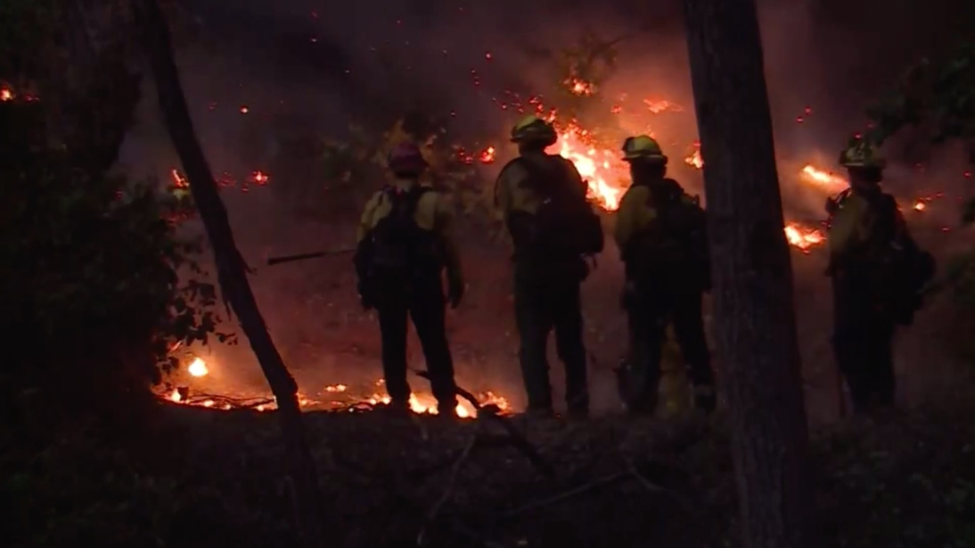 سادس أكبر حريق في تاريخ كاليفورنيا.. ديكسي لا يزال مستعرًا