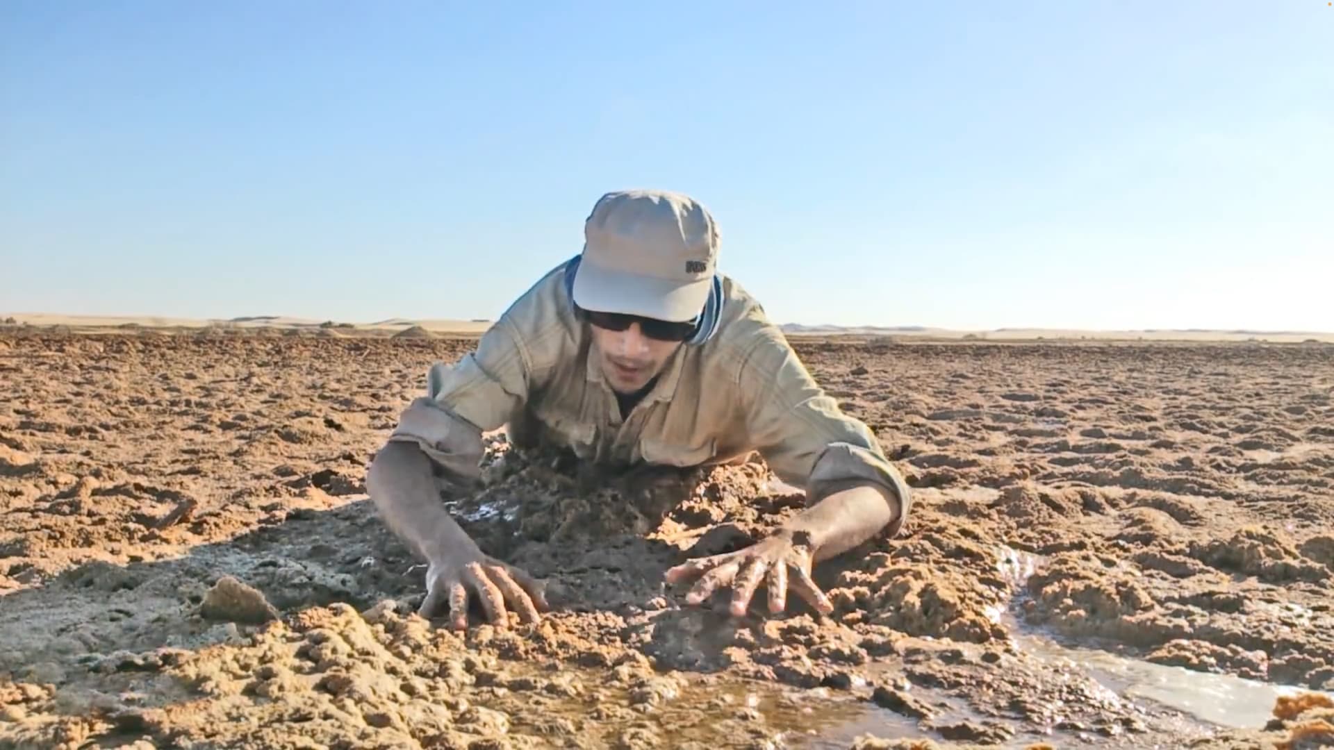 المغامر المصري، محمد شاهين، يشرح كيفية الخروج من الرمال المتحركة