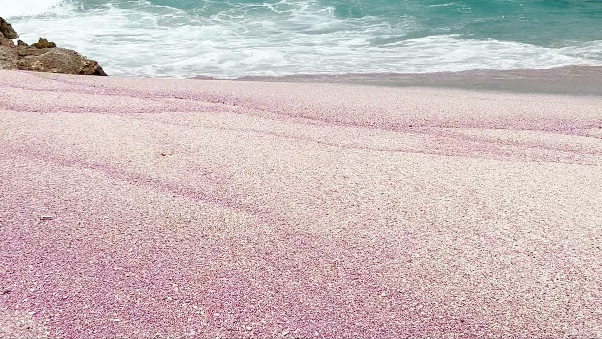 عمان يكتشف "شاطئ وردي" في عمان.. كيف وجده؟