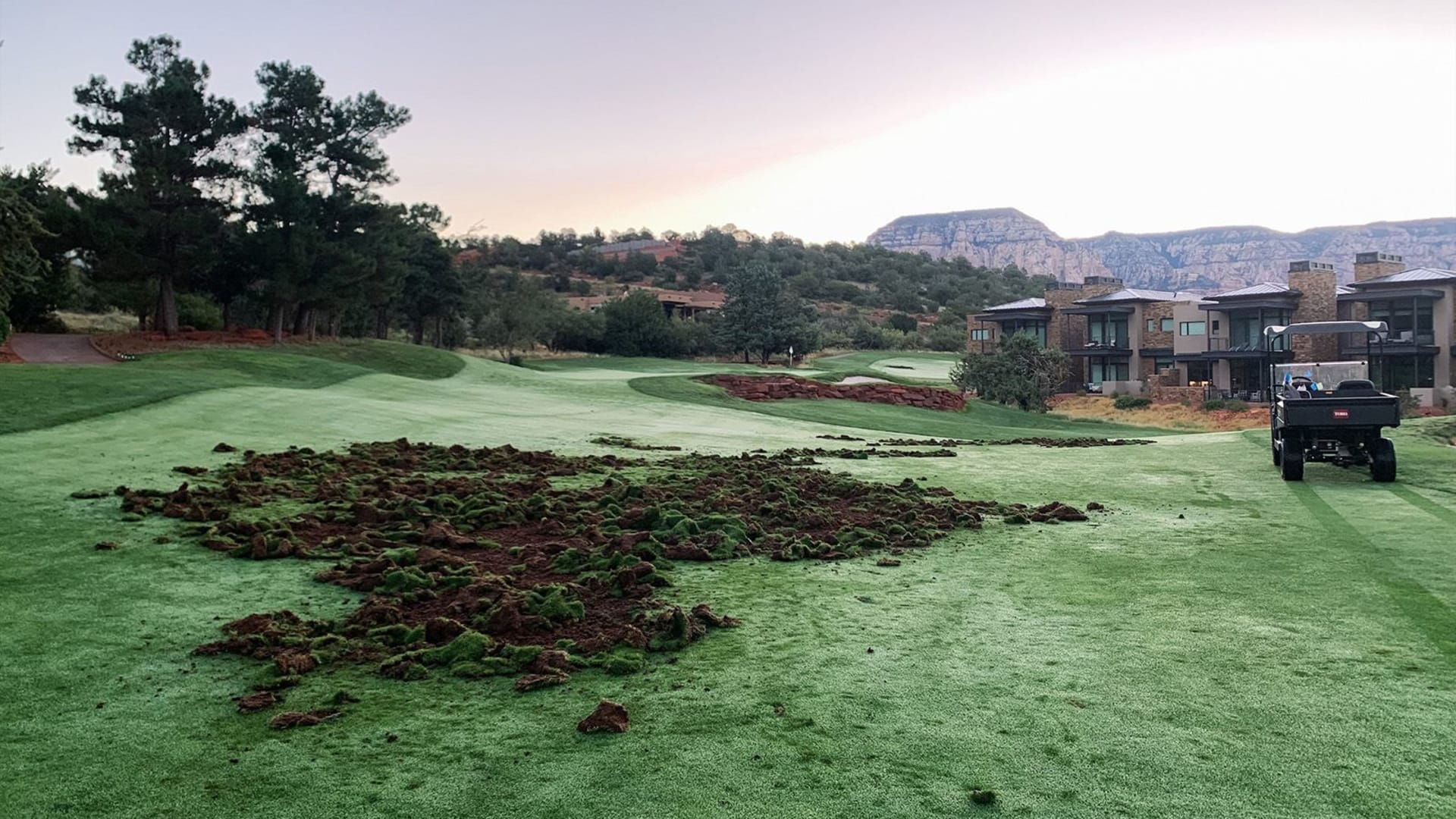 حولته لساحة قتال..ملعب غولف بأمريكا يتعرض للتخريب من قبل حيوانات 1 حولته لساحة قتال..ملعب غولف بأمريكا يتعرض للتخريب من قبل حيوانات