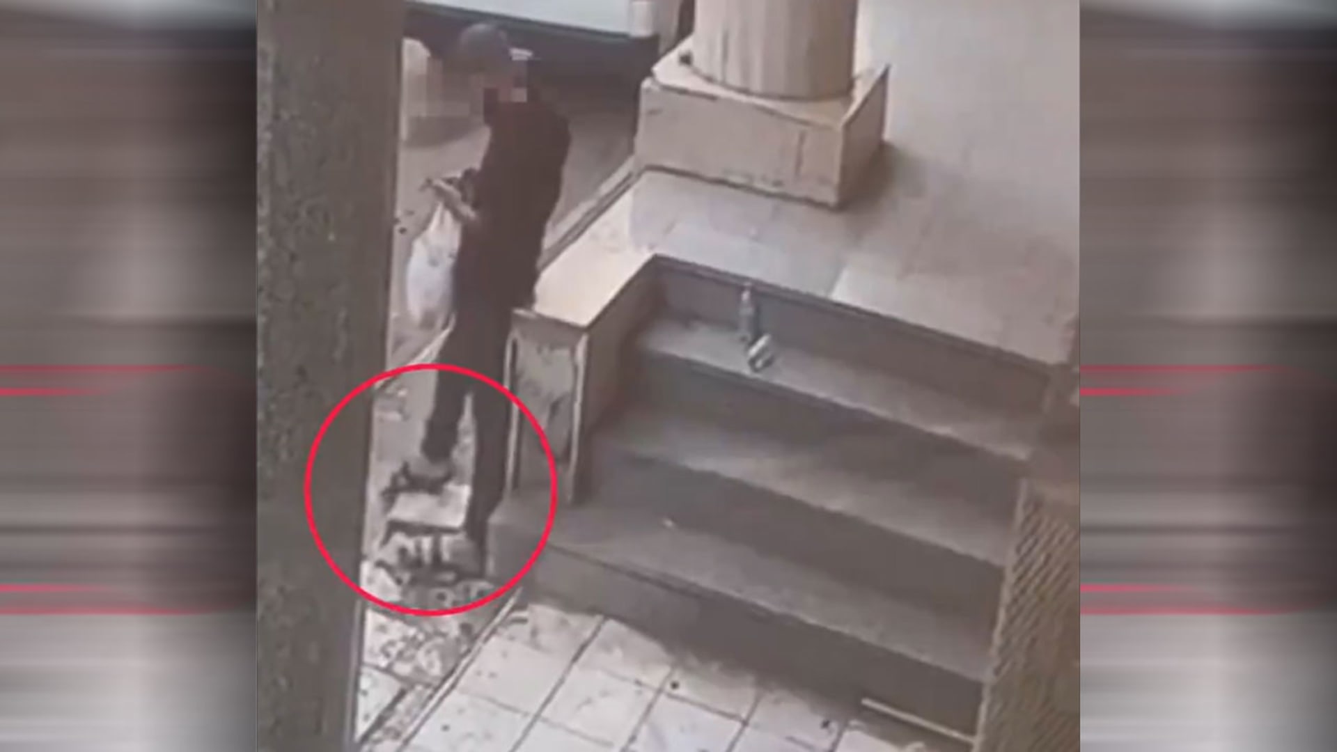 السعودية.. تداول فيديو مراقبة وأسلوب مداهمة قوة خاصة لمروج مخدرات