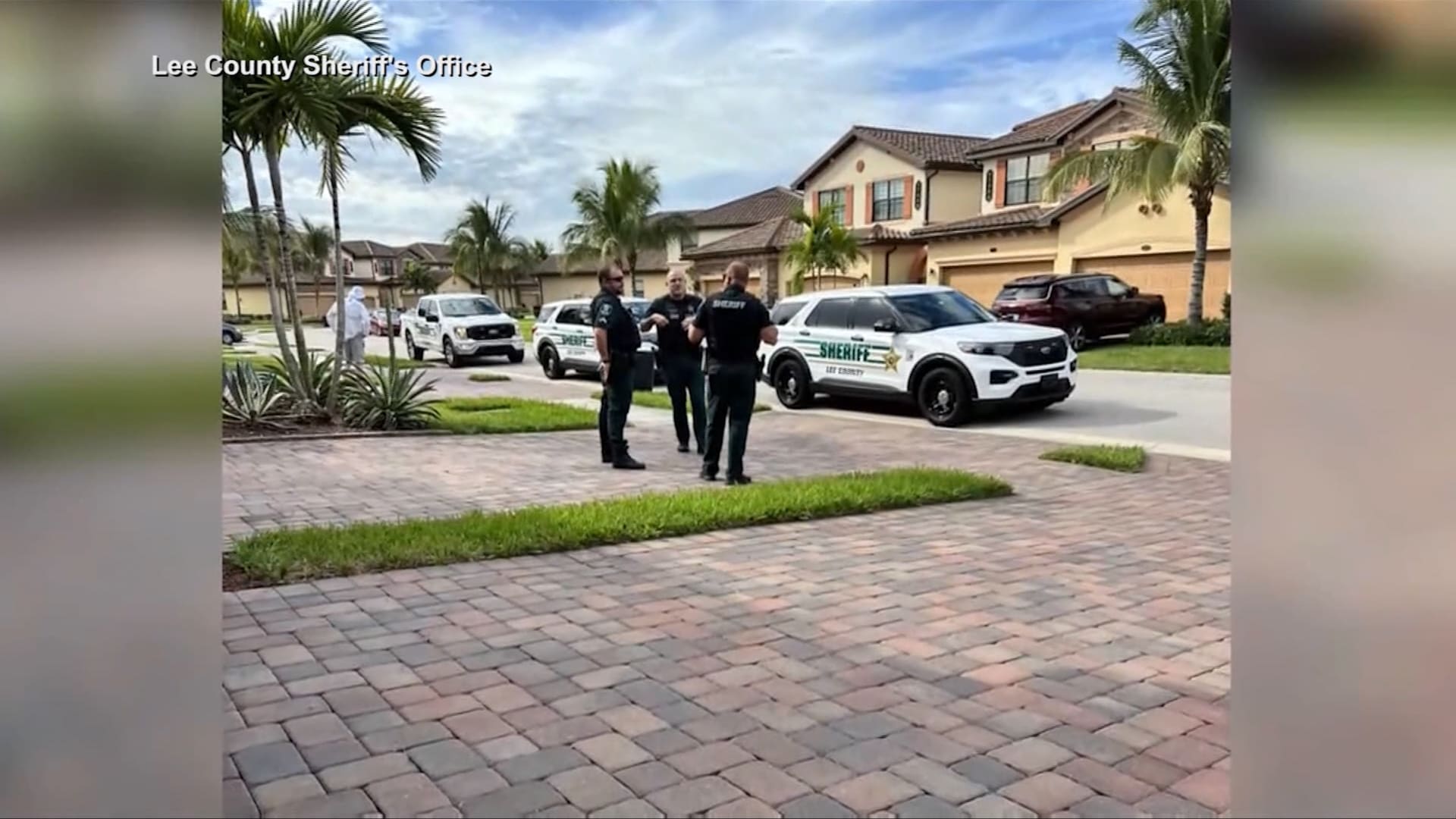 شاهد.. ثنائي في فلوريدا يعثران على نمر بري نادر نائم خارج منزلهما