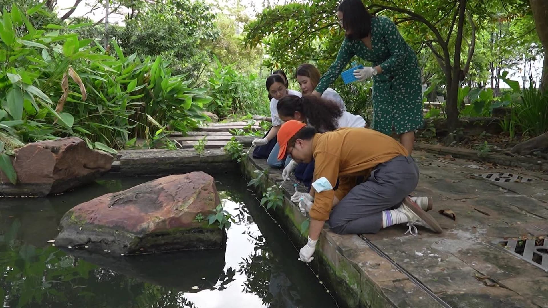 هل يمكن لهذه الكائنات الحد من الاستخدام المفرط للمضادات الحيوية؟ 1 هل يمكن لهذه الكائنات الحد من الاستخدام المفرط للمضادات الحيوية؟