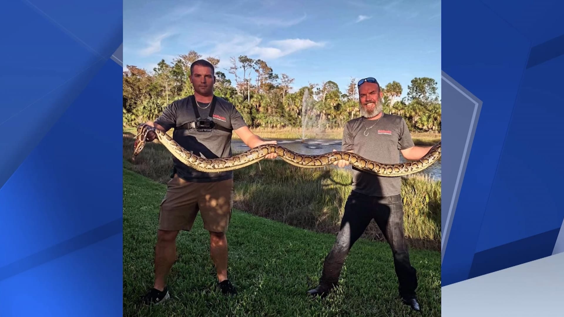 في أمريكا.. امرأة تجد ثعبانًا طوله 3 أمتار في منتجع