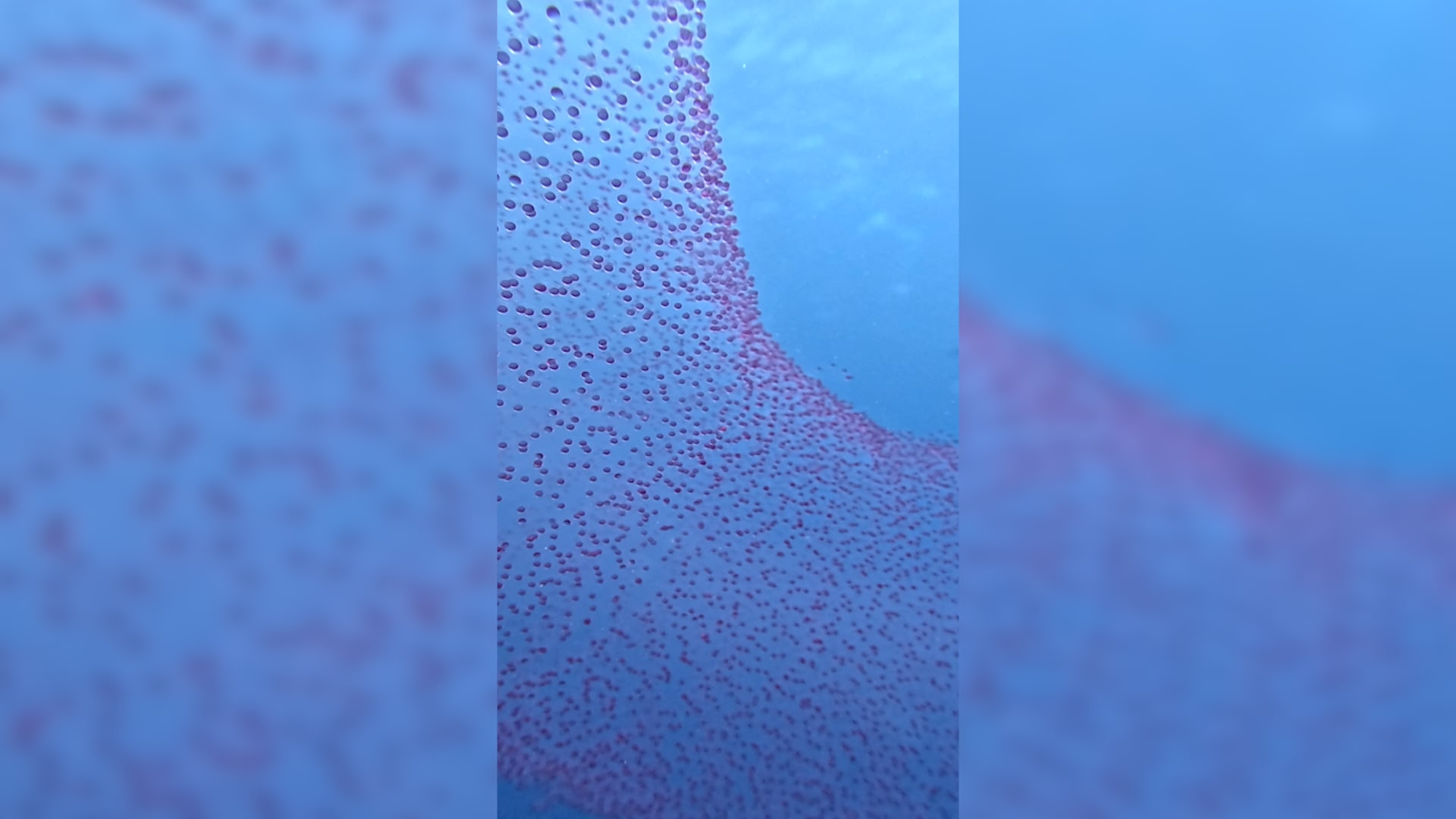 تشكيل أسطواني عملاق يظهر بأعماق البحر الأحمر بمصر..ما سره؟