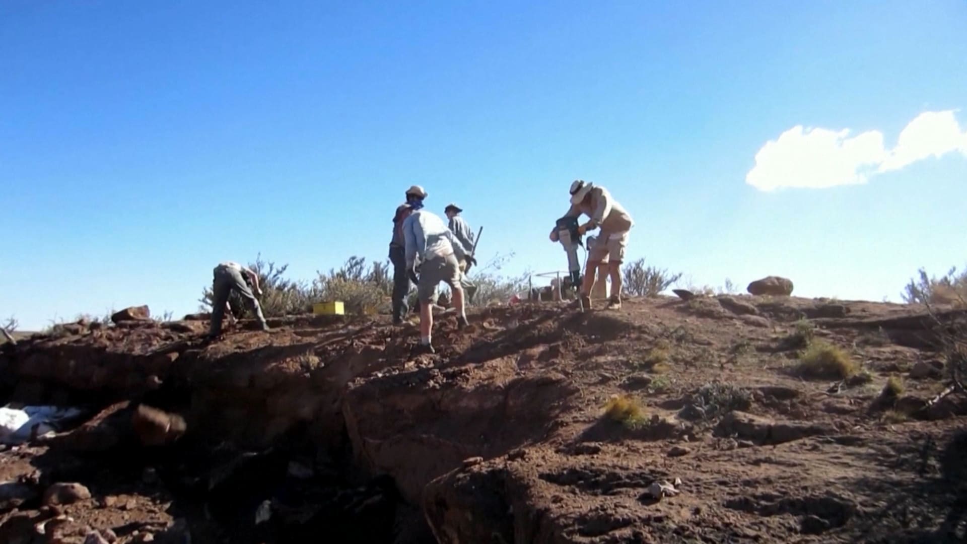 بذيل كالنجمة ومنقار بط.. اكتشاف نوع جديد من الديناصورات في الأرجنتين