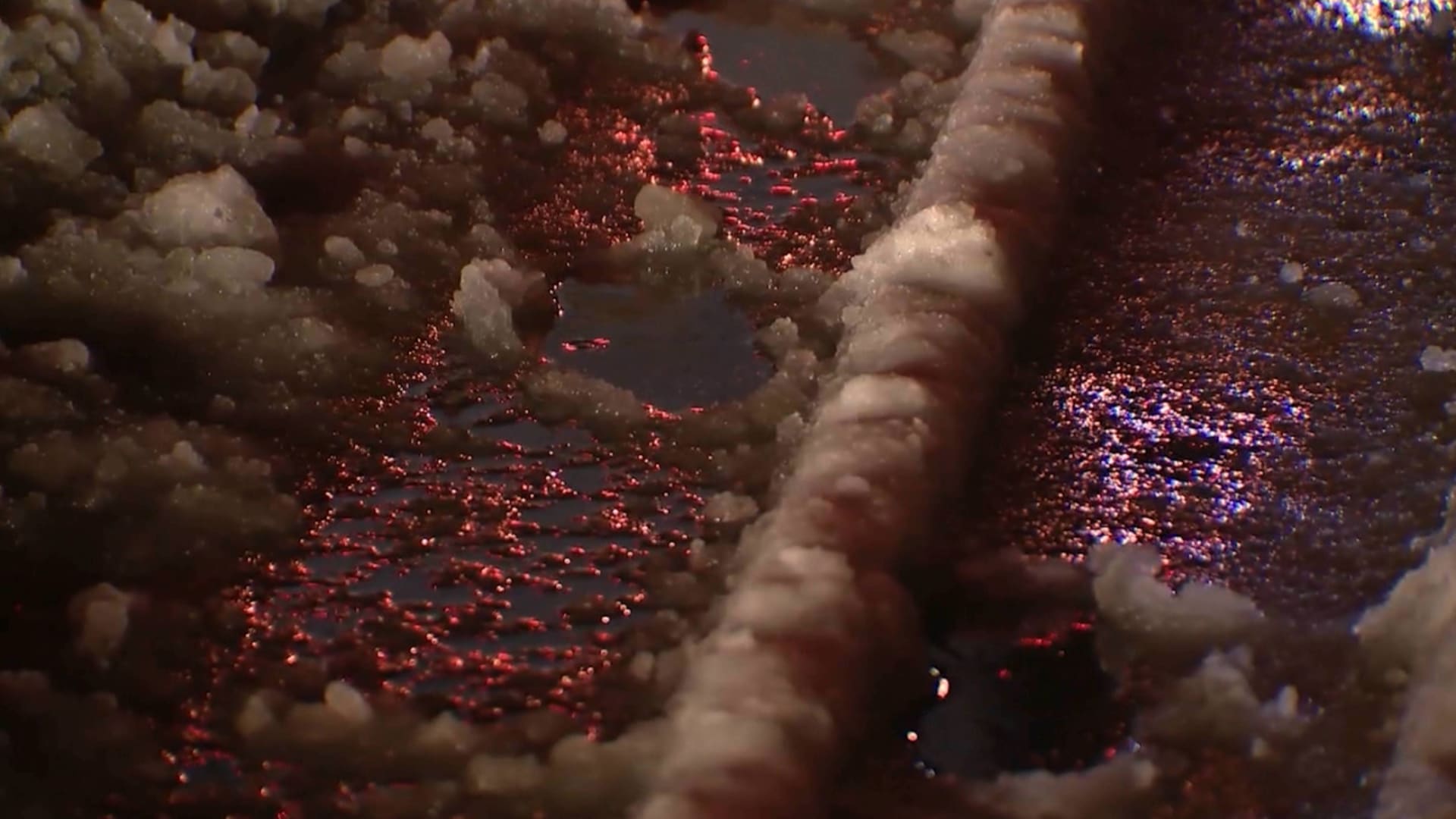 دراسة جديدة تُظهر تحليلًا مقلقًا حول ارتفاع درجات حرارة كوكب الأرض واختفاء الثلوج