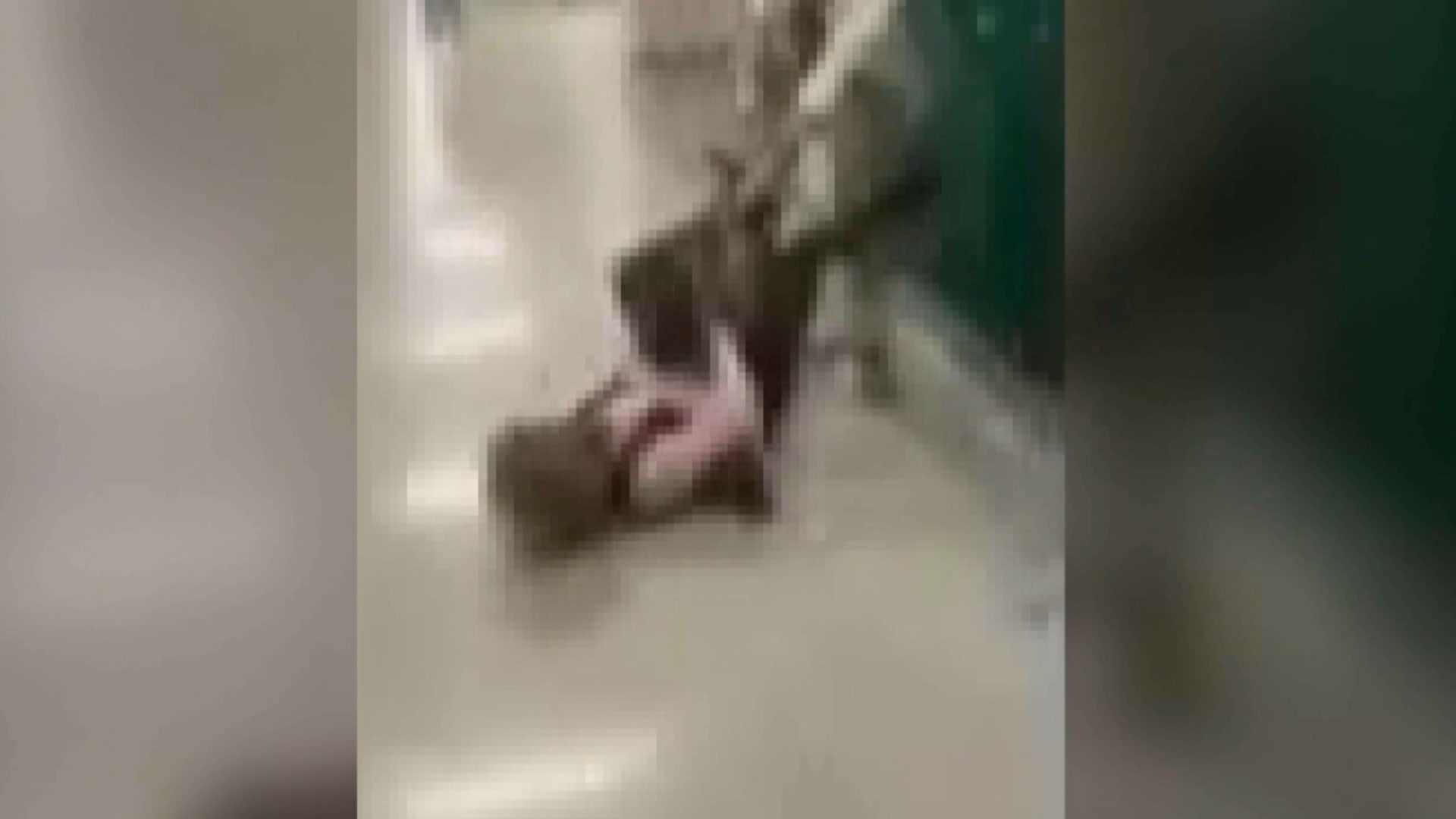 طرحتها أرضًا وبدأت بركلها وضربها.. مشهد مؤلم لطالبة تعتدي على معلمتها داخل الفصل الدراسي 5 طرحتها أرضًا وبدأت بركلها وضربها.. مشهد مؤلم لطالبة تعتدي على معلمتها داخل الفصل الدراسي