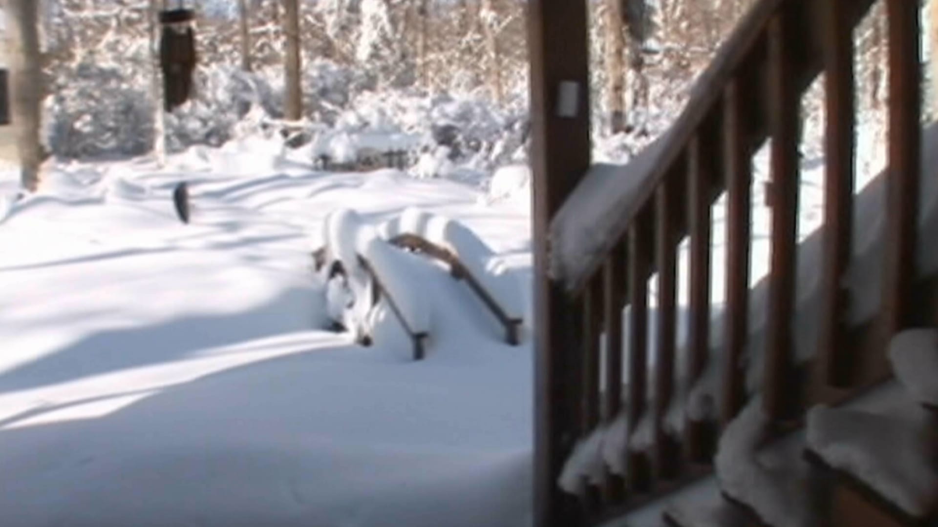 قضمة الصقيع وانخفاض حرارة الجسم.. شاهد كيف تؤثر درجات الحرارة سلبًا علينا 1 قضمة الصقيع وانخفاض حرارة الجسم.. شاهد كيف تؤثر درجات الحرارة سلبًا علينا