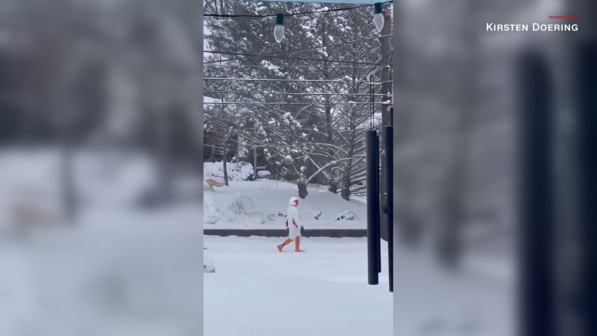 مشهد عجيب وسط الثلوج.. دجاجة طولها 6 أقدام تعبر طريقًا في مدينة ناشفيل 3 مشهد عجيب وسط الثلوج.. دجاجة طولها 6 أقدام تعبر طريقًا في مدينة ناشفيل