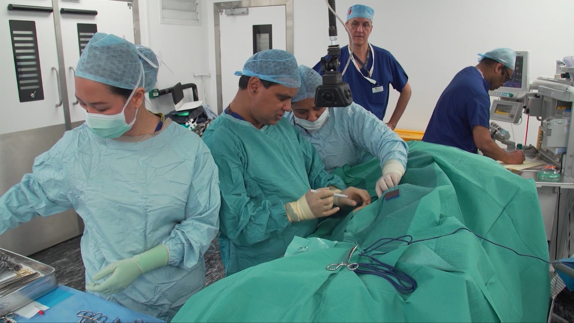 خطوة واحدة تفصلنا عن عمليات زرع الأعضاء بين الأنواع.. لماذا بحسب العلماء؟ 1 خطوة واحدة تفصلنا عن عمليات زرع الأعضاء بين الأنواع.. لماذا بحسب العلماء؟