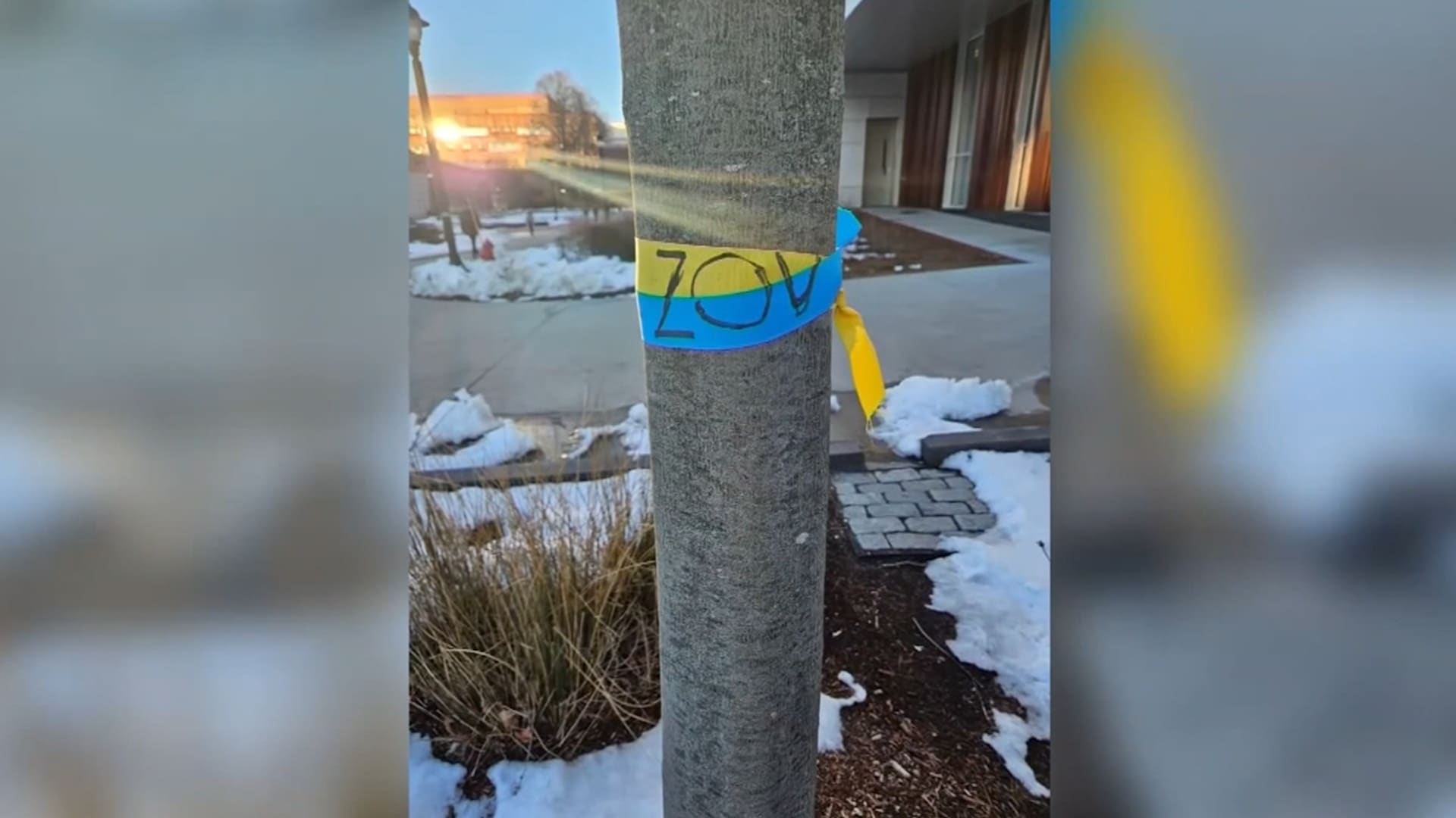 طلاب أوكرانيون يزيلون أعلام بلادهم بأيديهم في جامعة أمريكية.. شاهد السبب