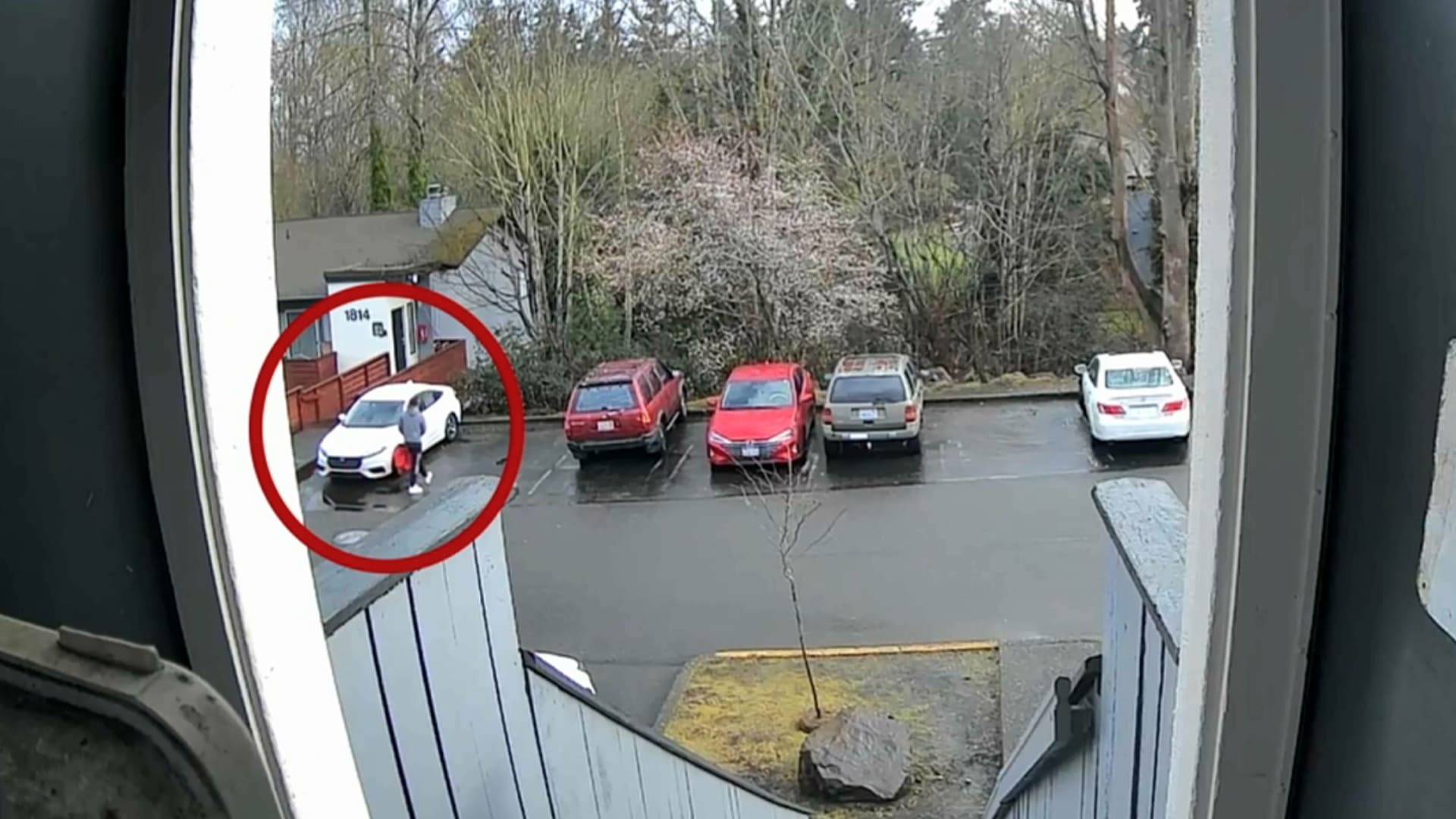 تظاهر بأنه عامل توصيل طلبات.. رجل يختطف رضيعًا من منزل بعد الاعتداء على والدة وطفلها