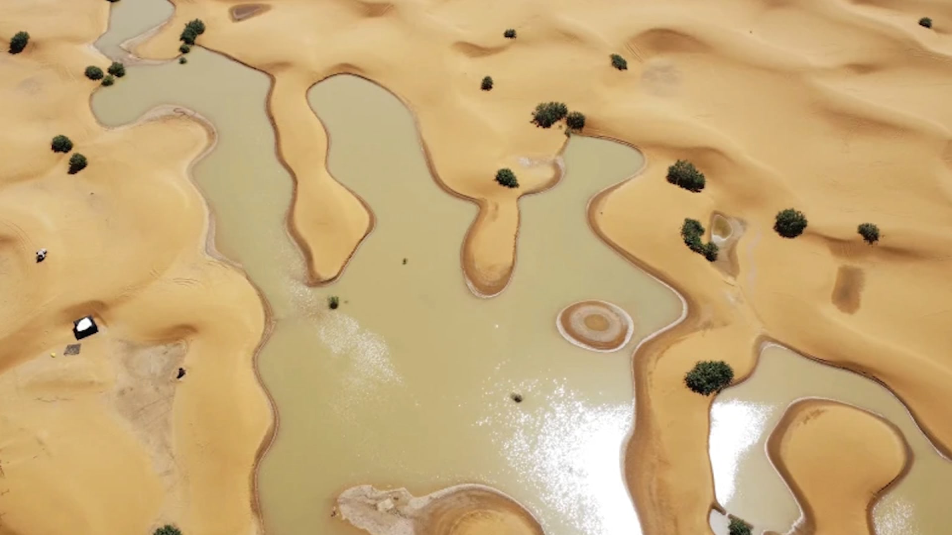 خبير أرصاد جوية يوضح حدثًا نادرًا أدى إلى تكون بحيرات بأحد أكثر الأماكن جفافًا على الأرض - CNN Arabic