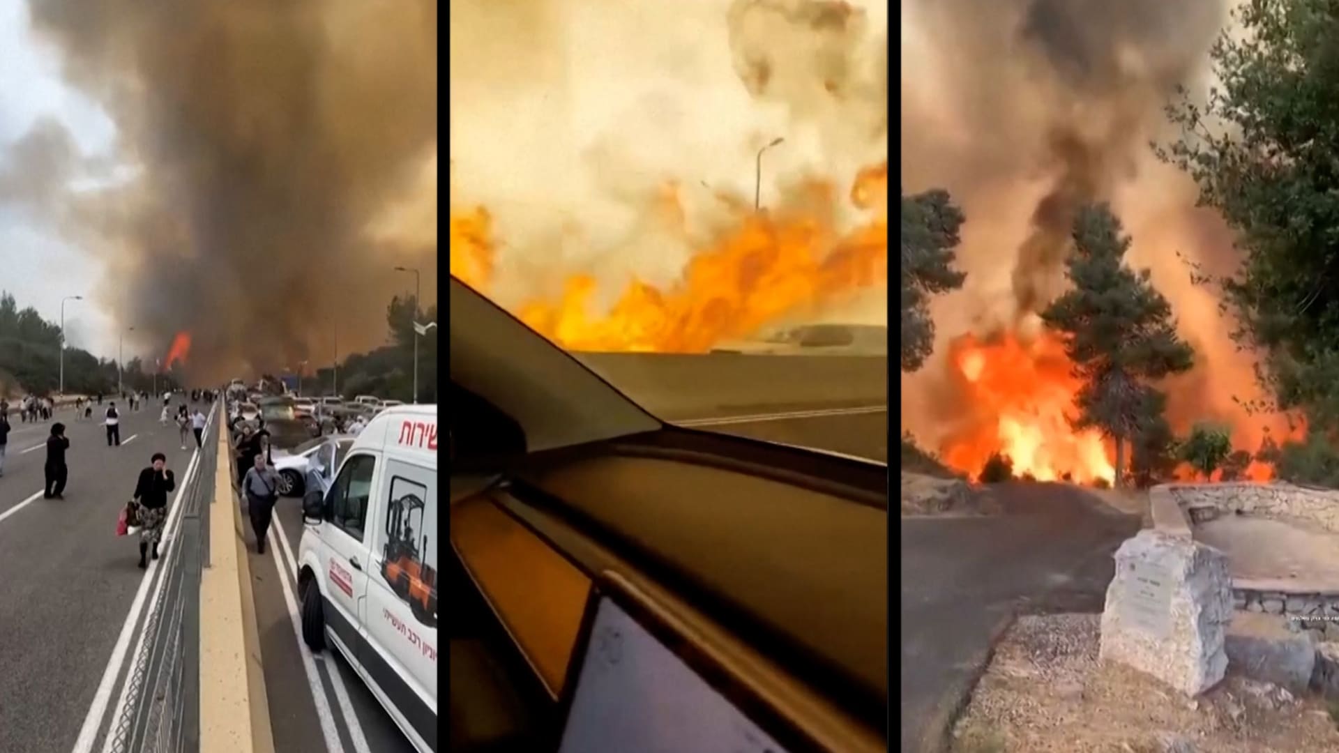 حرائق الغابات في إسرائيل قد تكون "الأكبر على الإطلاق" بالبلاد.. شاهد آثارها