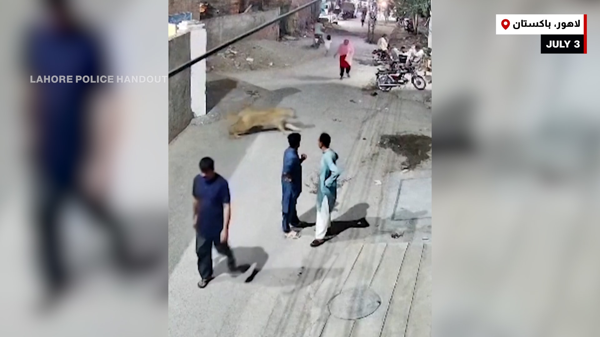 أسد يهرب من قفصه ليهاجم سيدة وأطفالها بلحظات مرعبة.. شاهد ما حدث