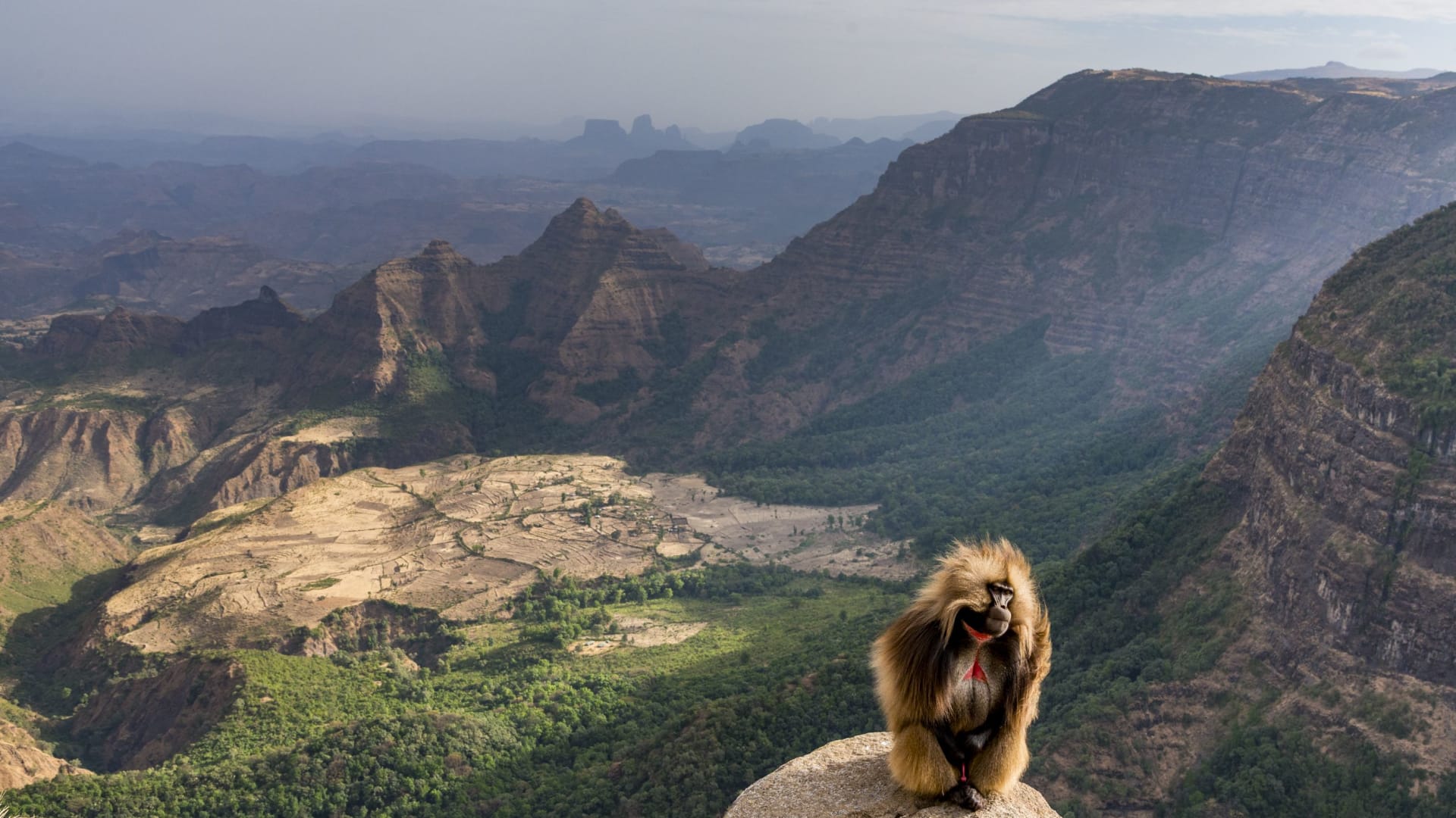يمتد عبر 11 دولة وأكثر من 6 آلاف كيلومتر.. إليك مشاهد مذهلة من الأخدود الإفريقي العظيم